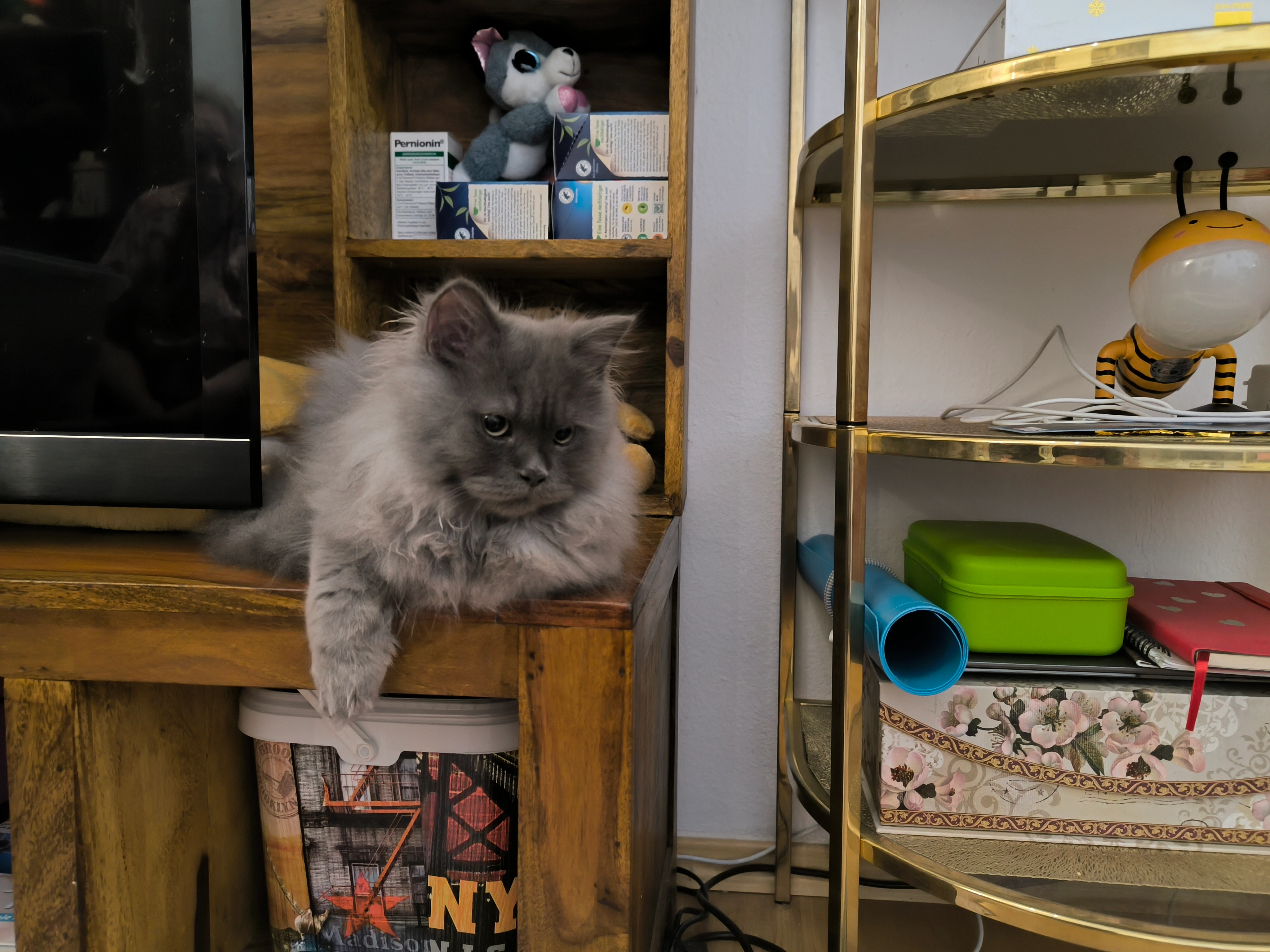 Charly - Theodor-Heuss-Straße, Weinheim