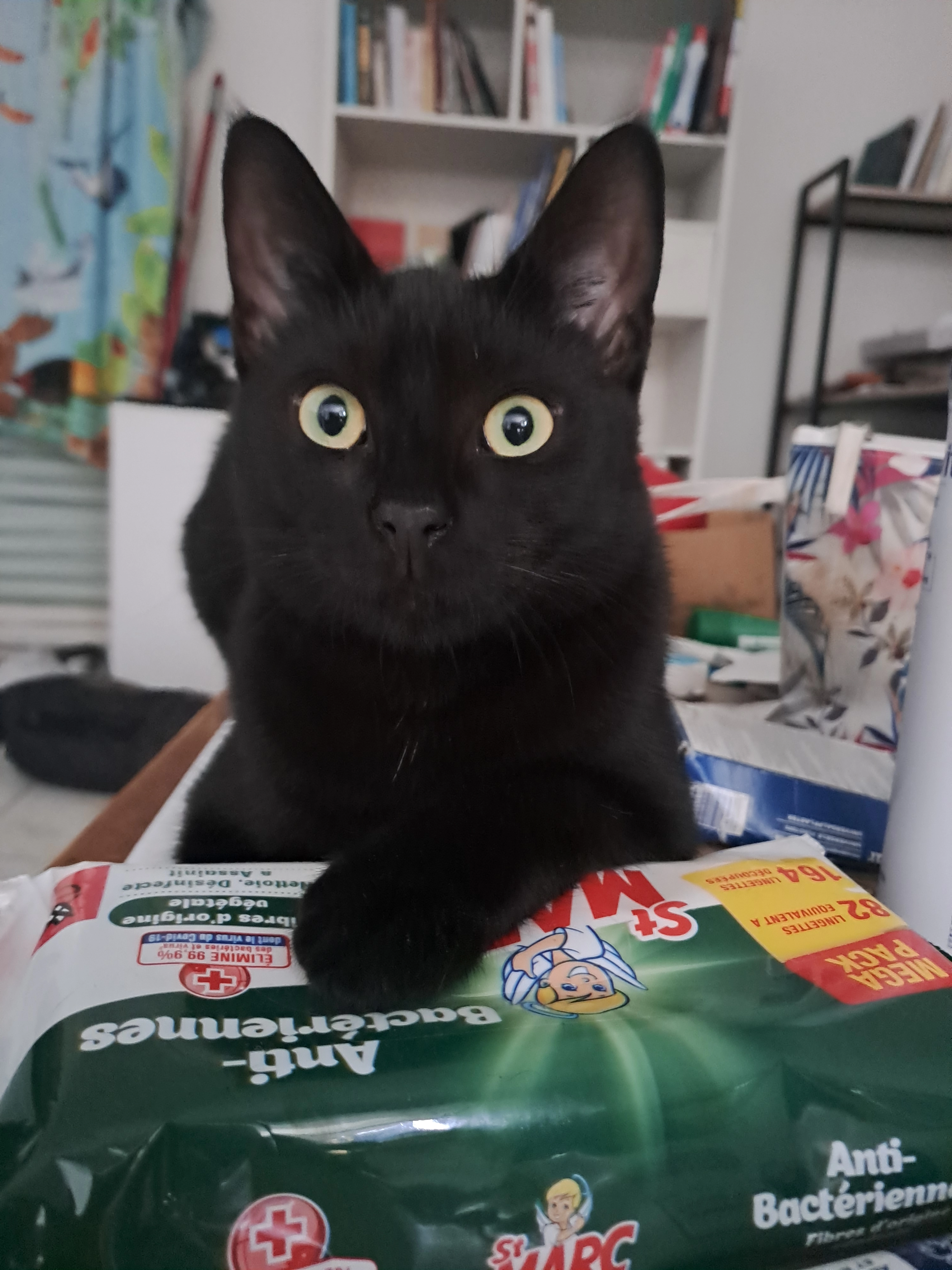 Strike - 2 Rue des Tamaris, Pérols