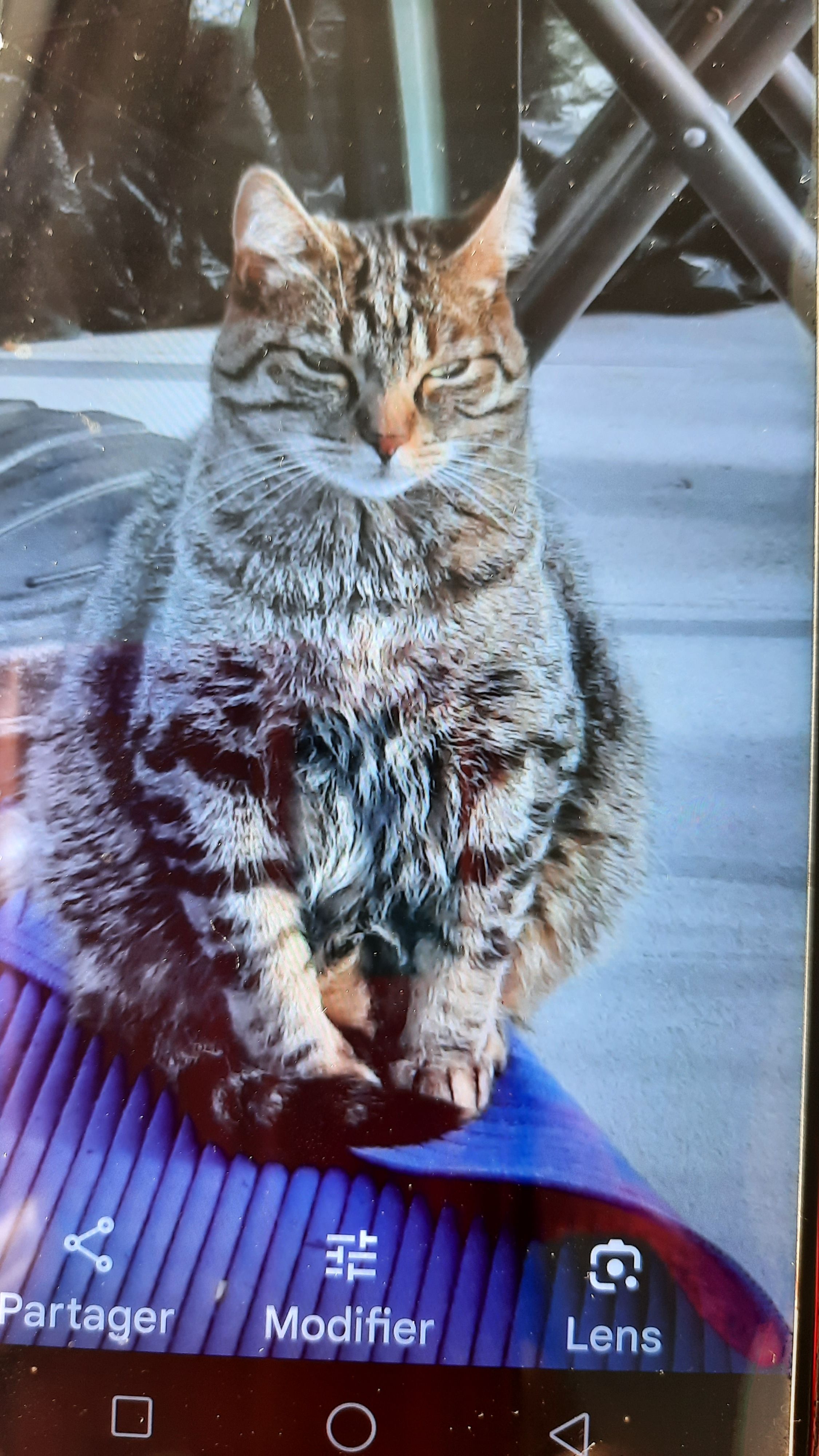 ACID  - Rue De La Meunerie, Saint-Hilaire-de-Riez