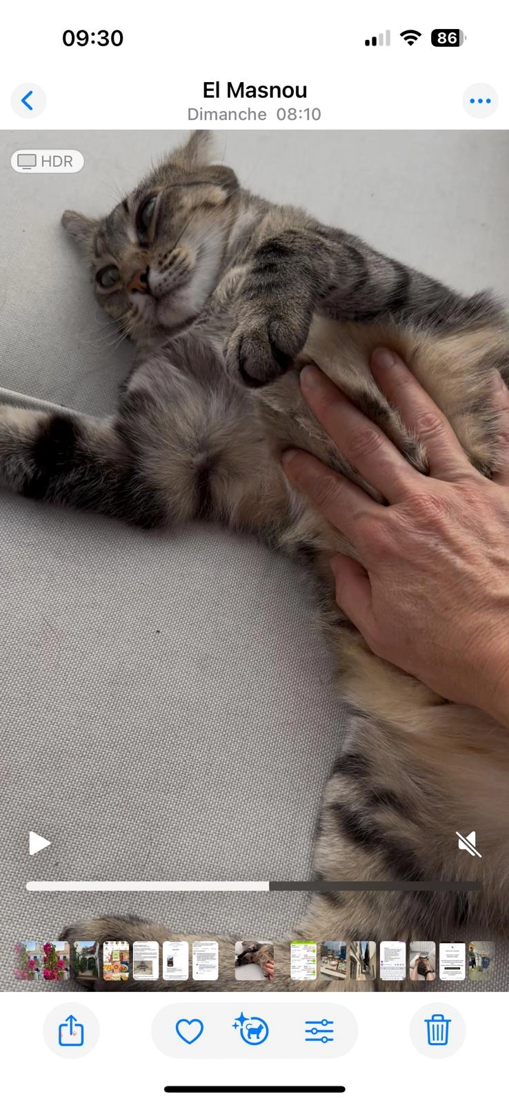 leah - Calle de Pere Grau, El Masnou