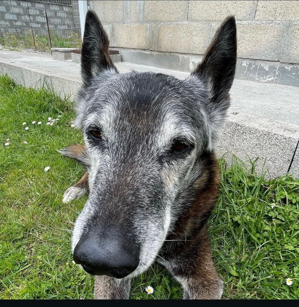 Eder - Les Jardins de Marjoleau, Saint-Savin