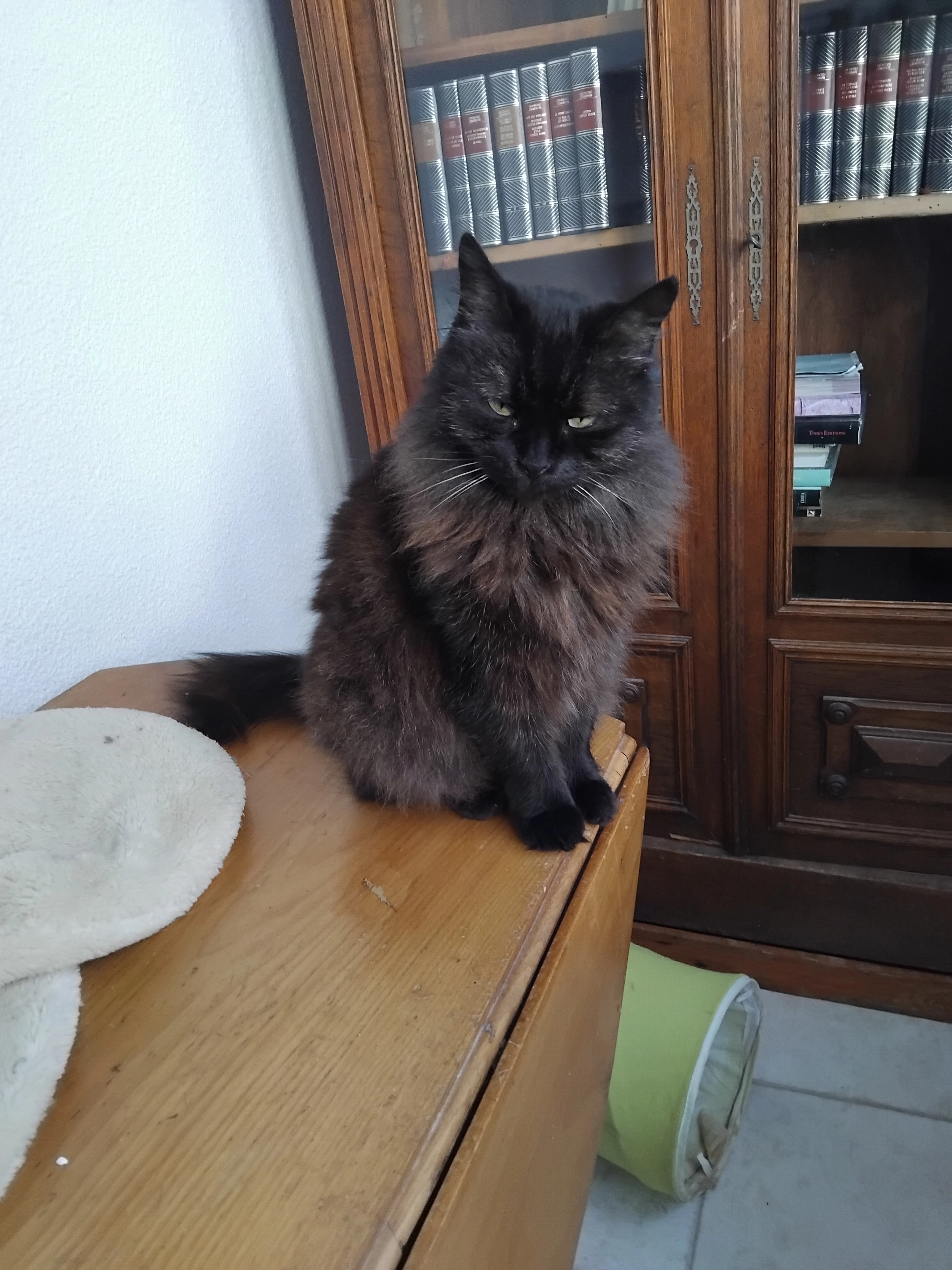 Lily - Rue des Barges, Les Sables-d'Olonne