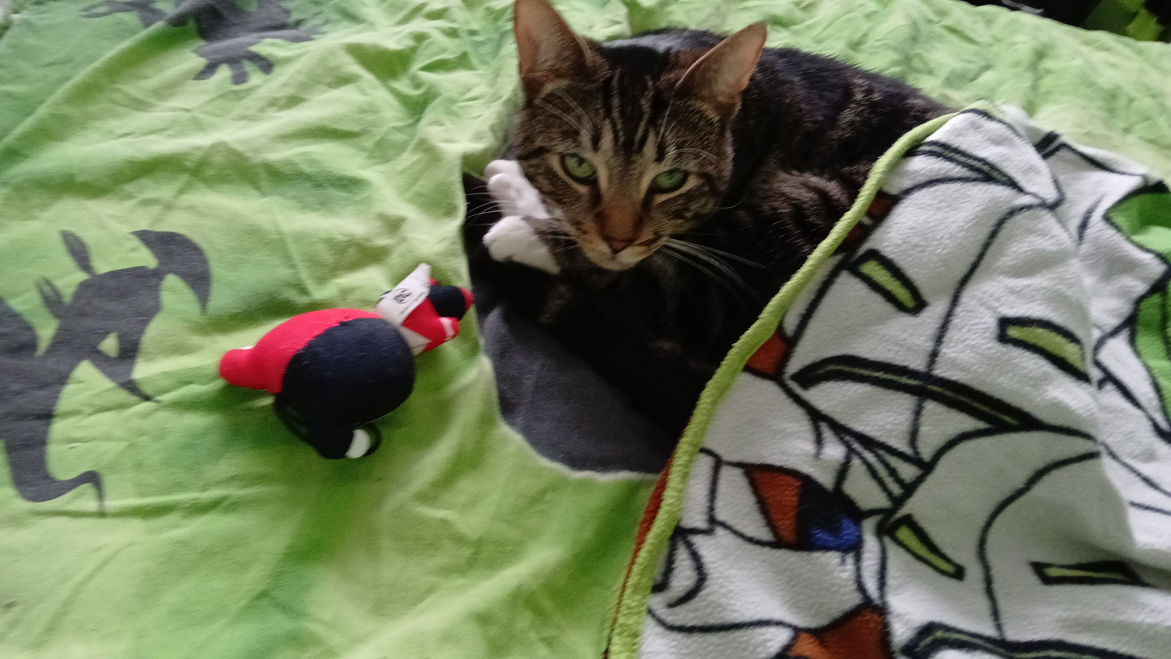 Sox - Saxton Road, Abingdon-on-Thames