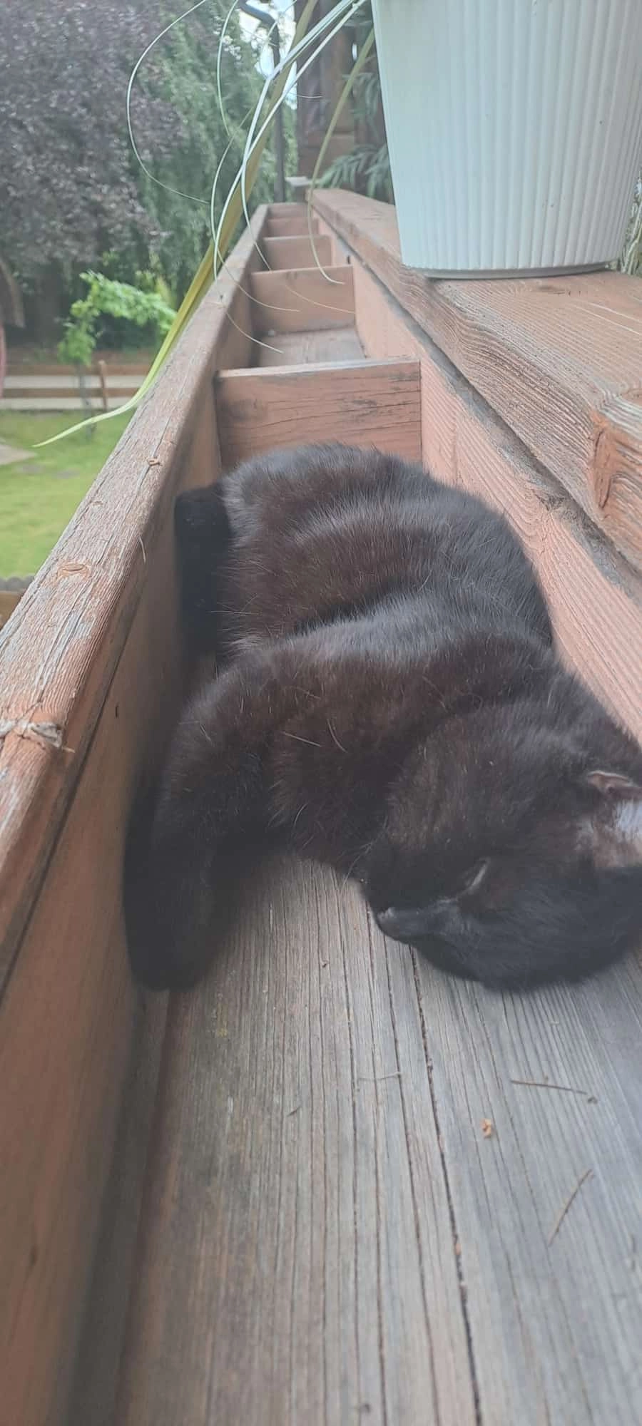 Blue - Prälatenweg, Polling