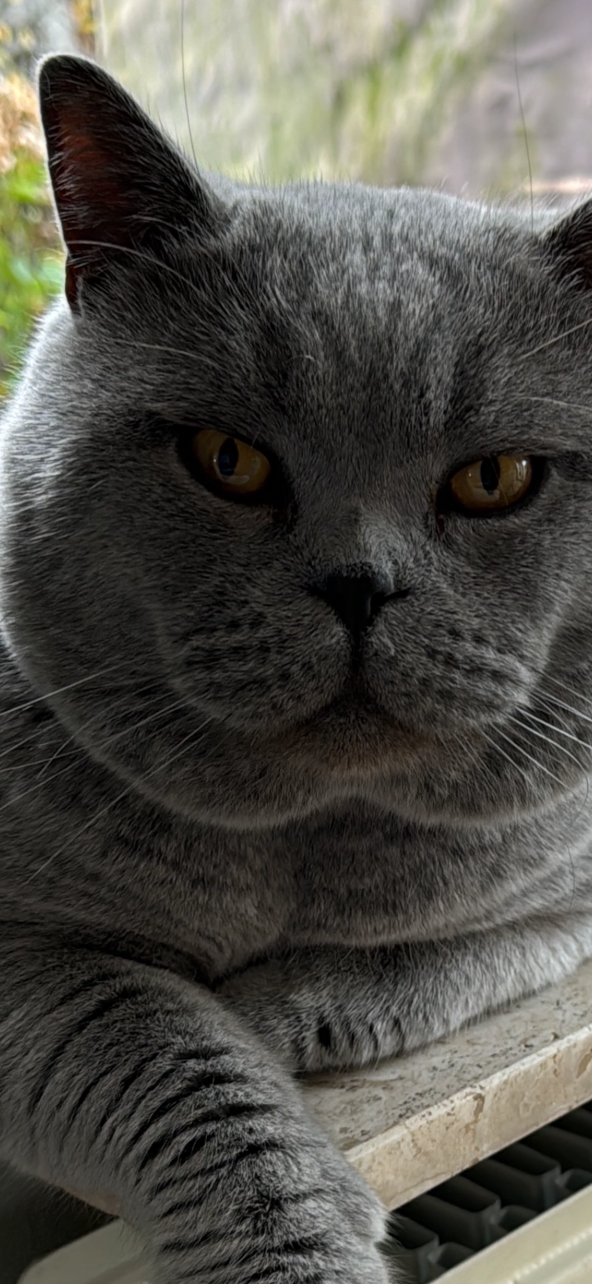 Jim - Nijland, Beilen