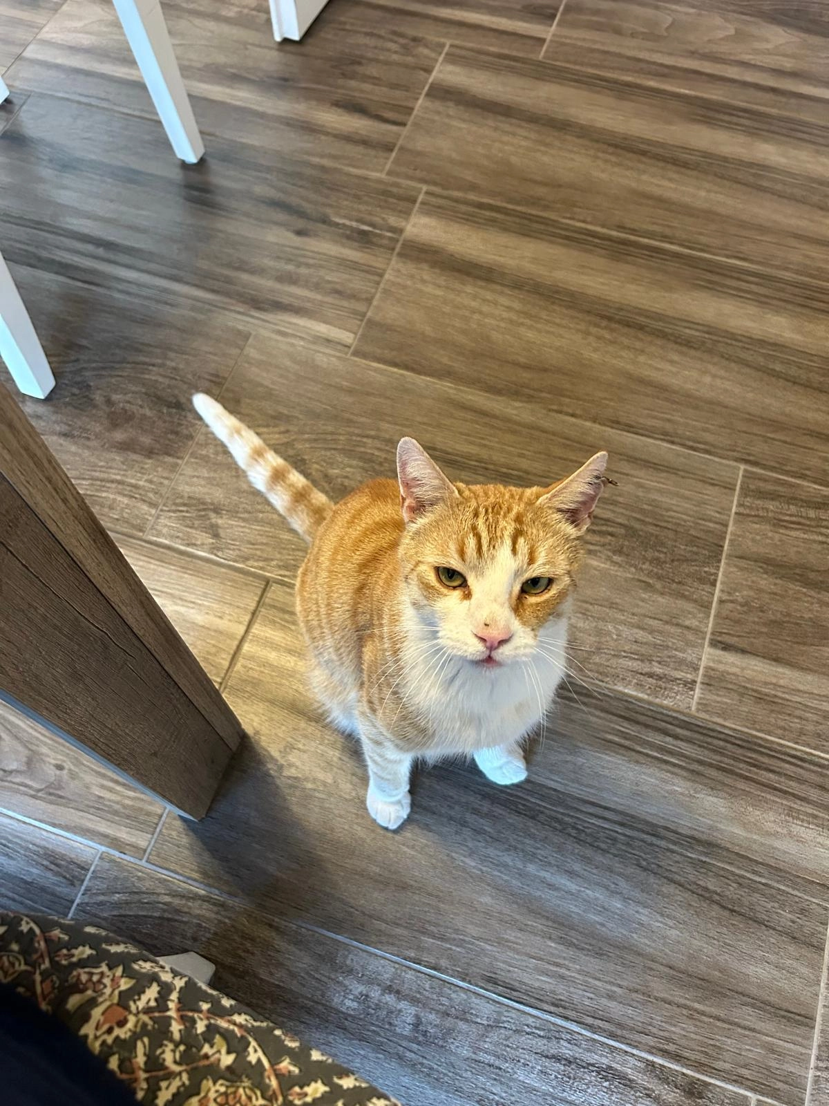 Nasip - Heidornweg, Sittensen