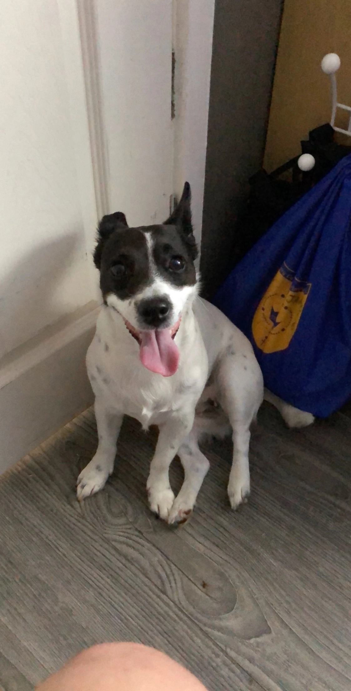 Lola - Cromwell Road, Hounslow