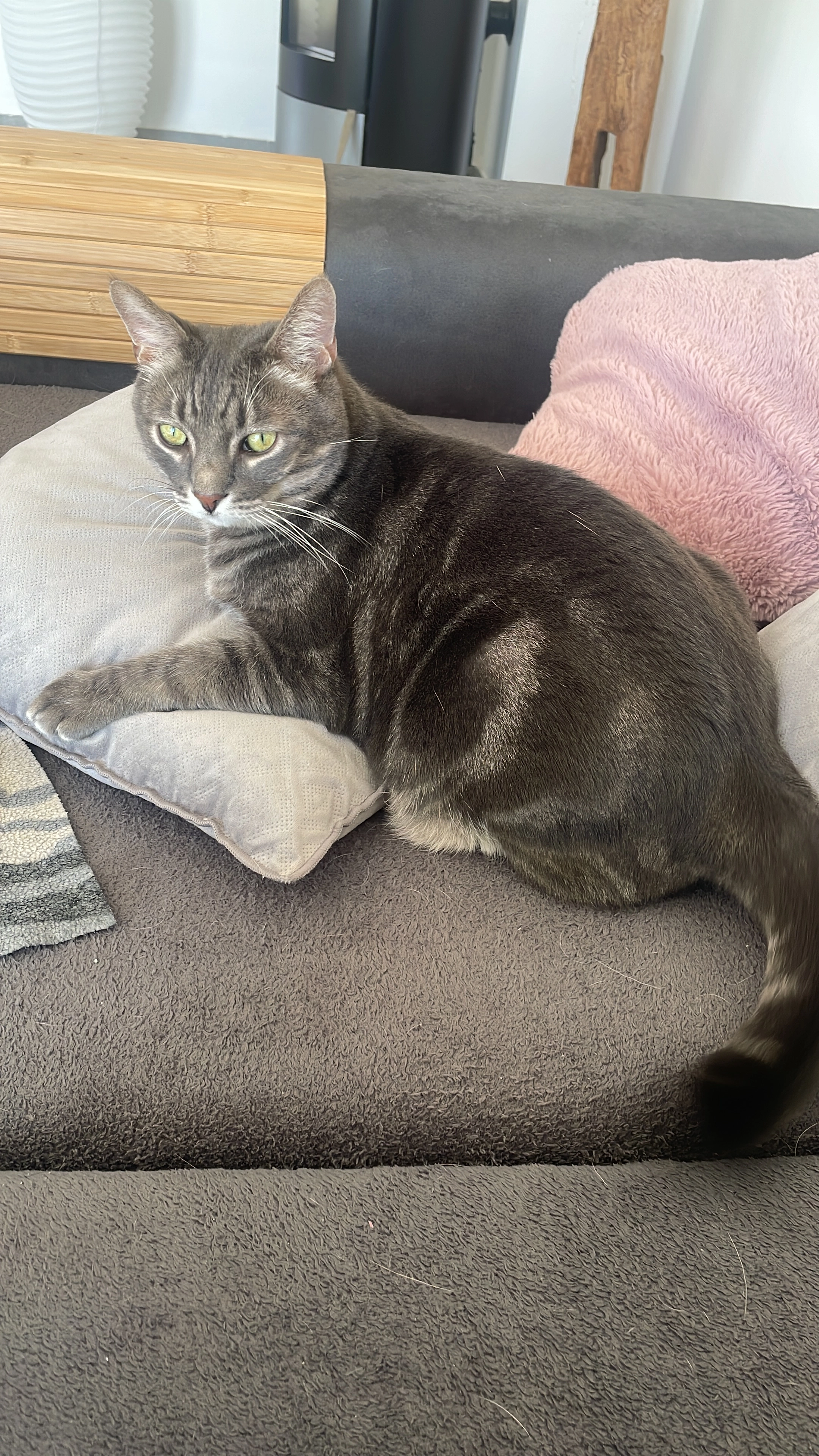 Kappa - 35630, Ehringshausen