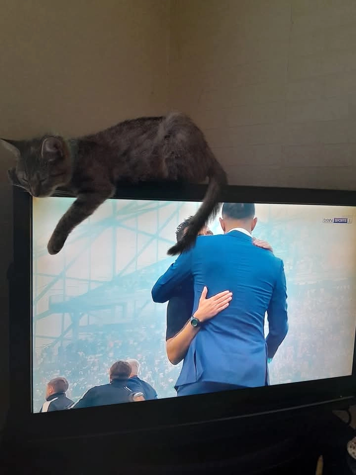 Pas de nom je disait ma grosse - 18A Grand'Rue, Walbourg