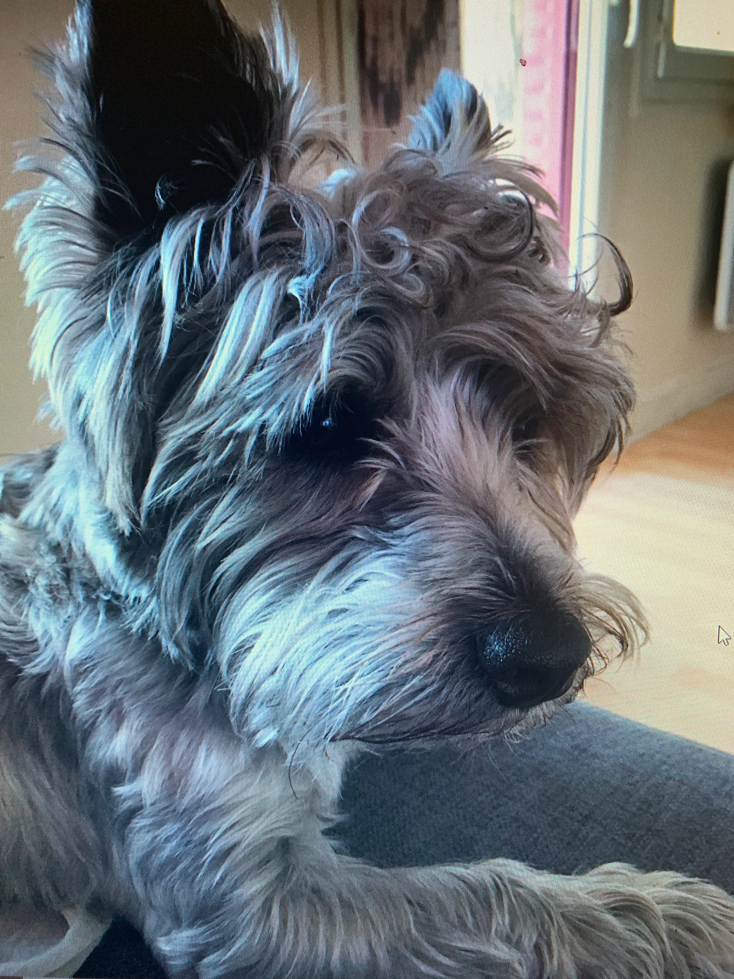 Marley - 1 Rue Pascal, Oyonnax