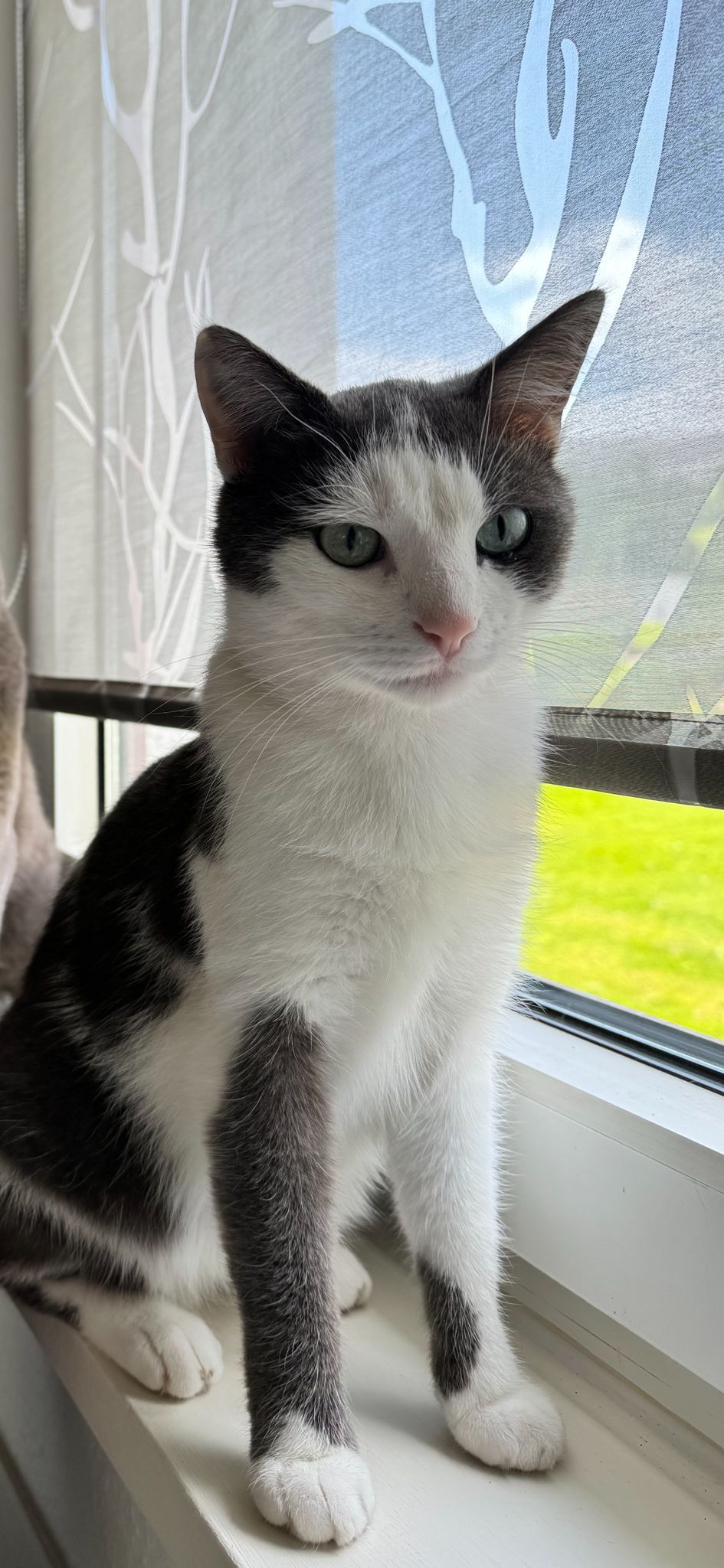 Simba - Schulstraße, Philippsthal Röhrigshof