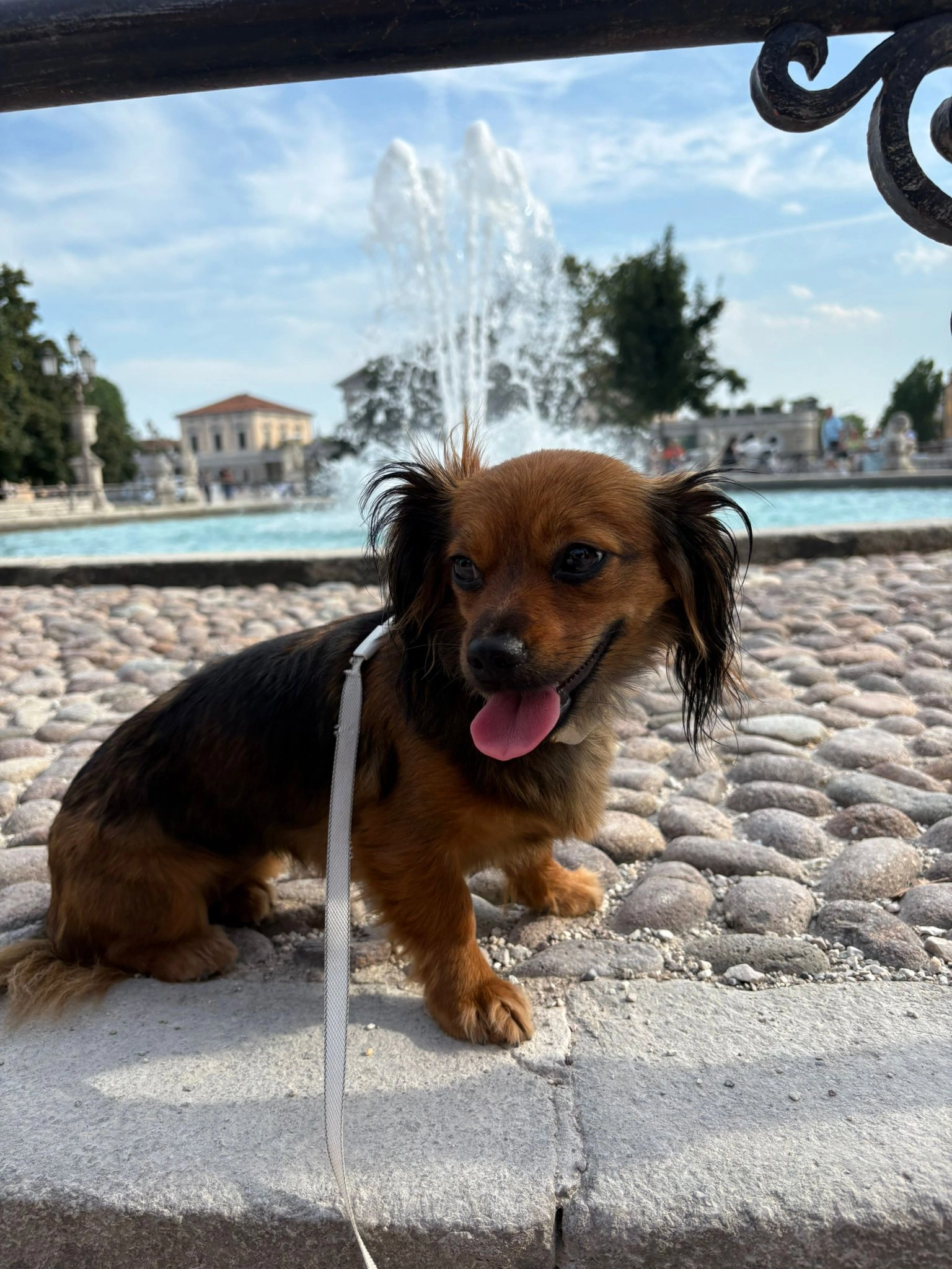 Nova - Via Valli 68, Teolo