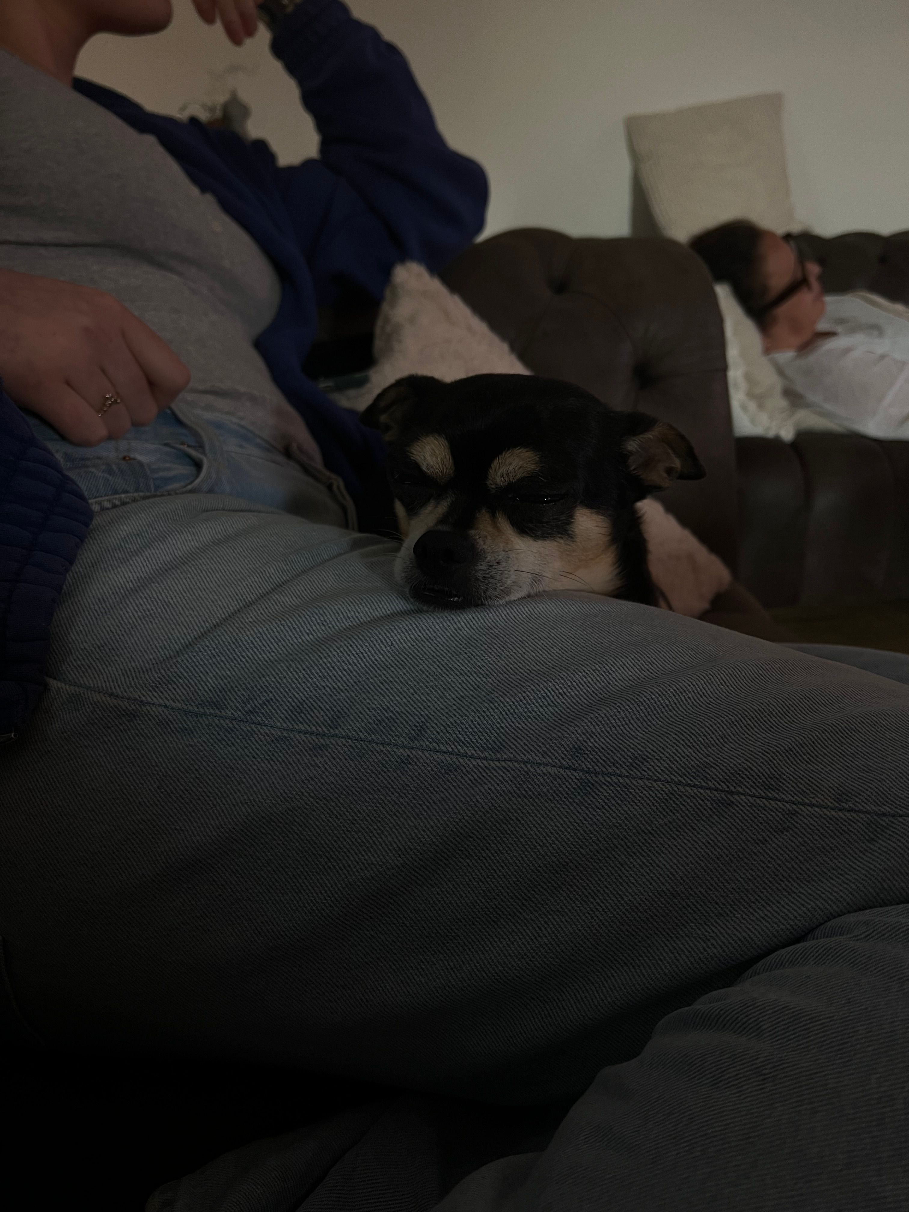 Loui - Kälberbrook, Himmelpforten