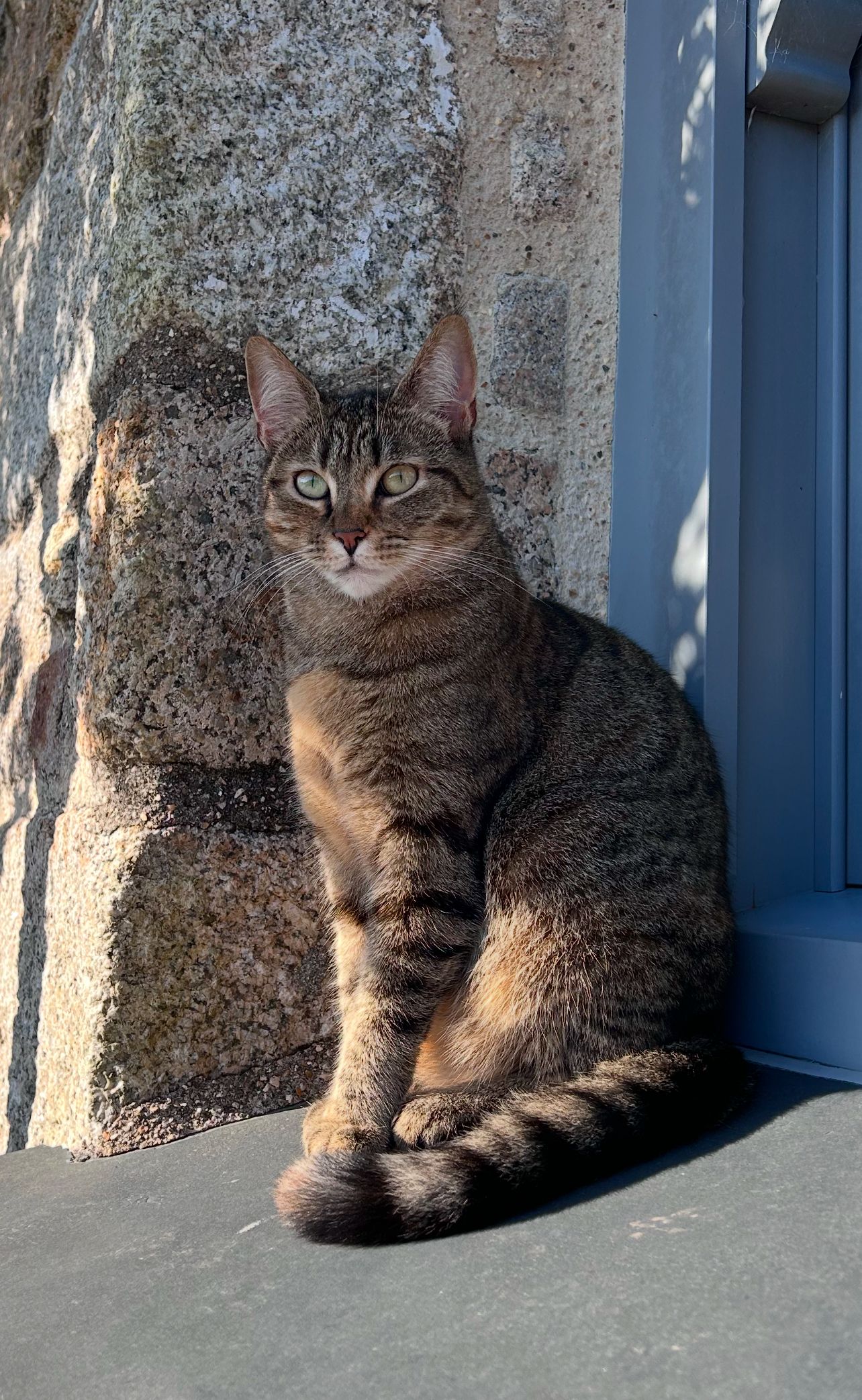 Maud - Falmouth Place, Penzance