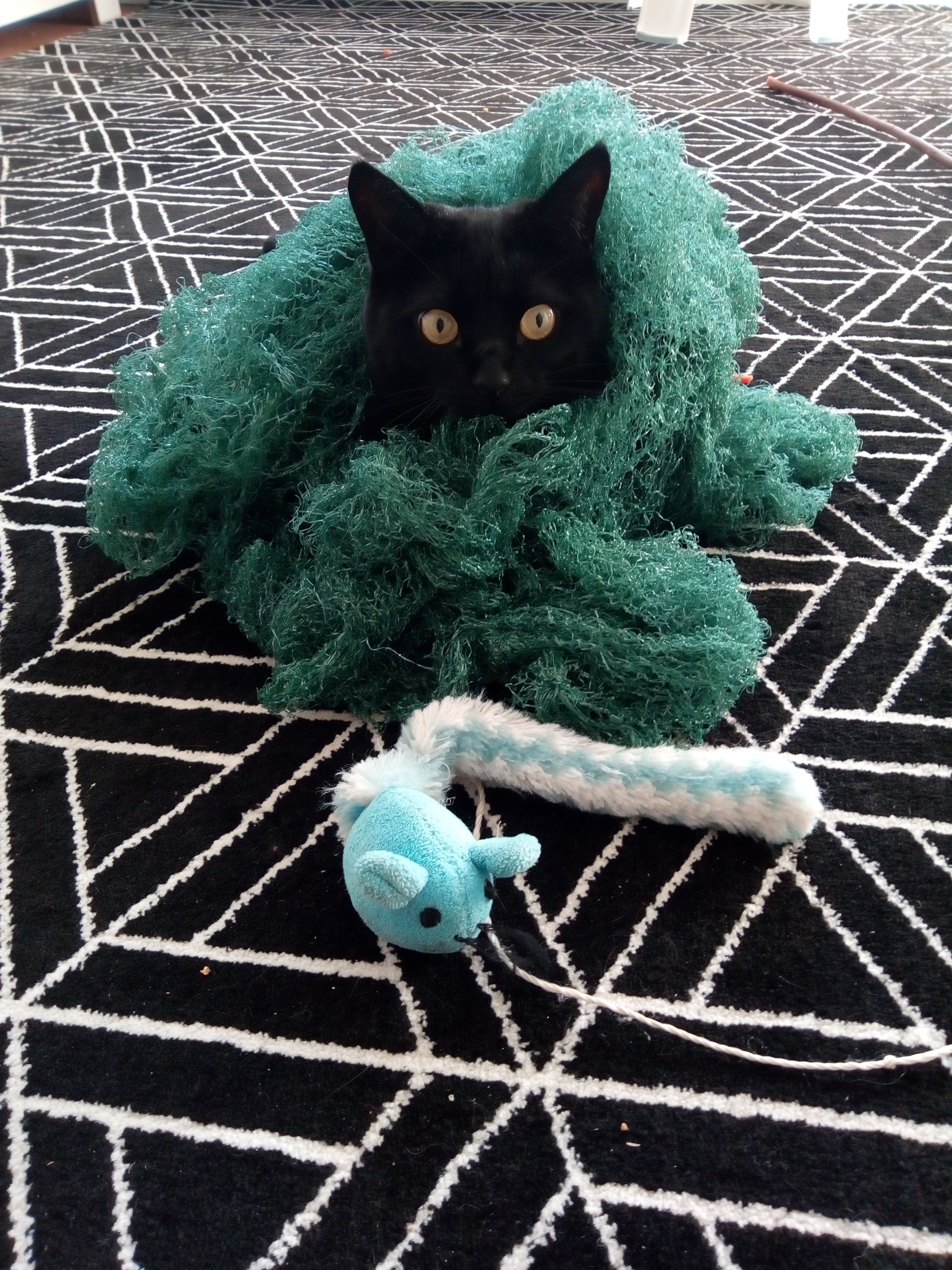 basja - 15517, Fürstenwalde/Spree