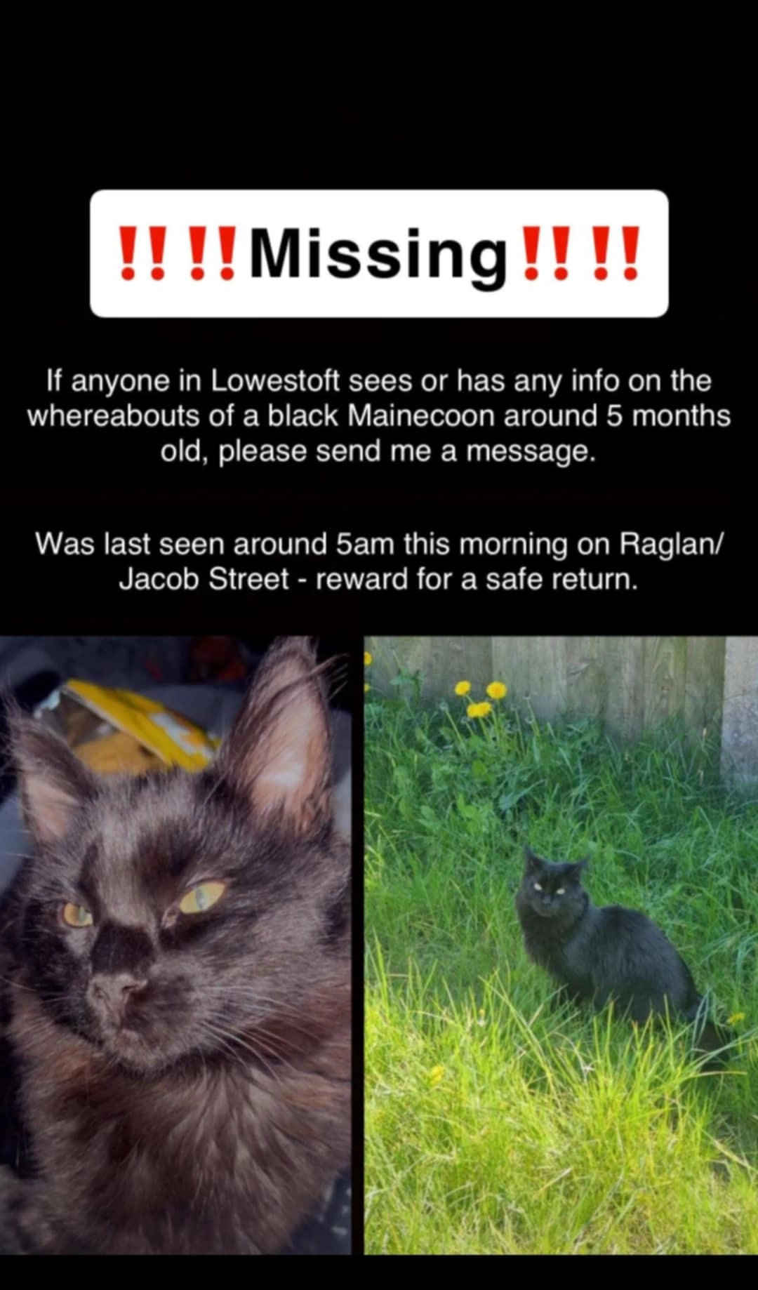 Lucifer  - Raglan Street, Lowestoft