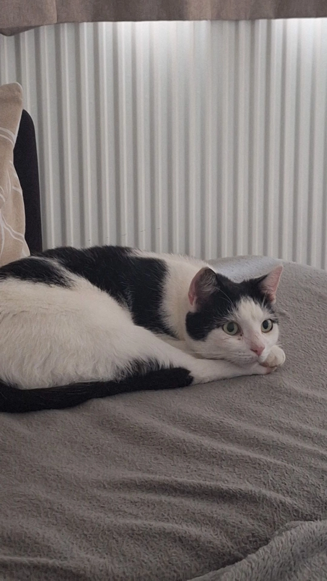 Sushi - Rue de la Déportation 41, La Louvière