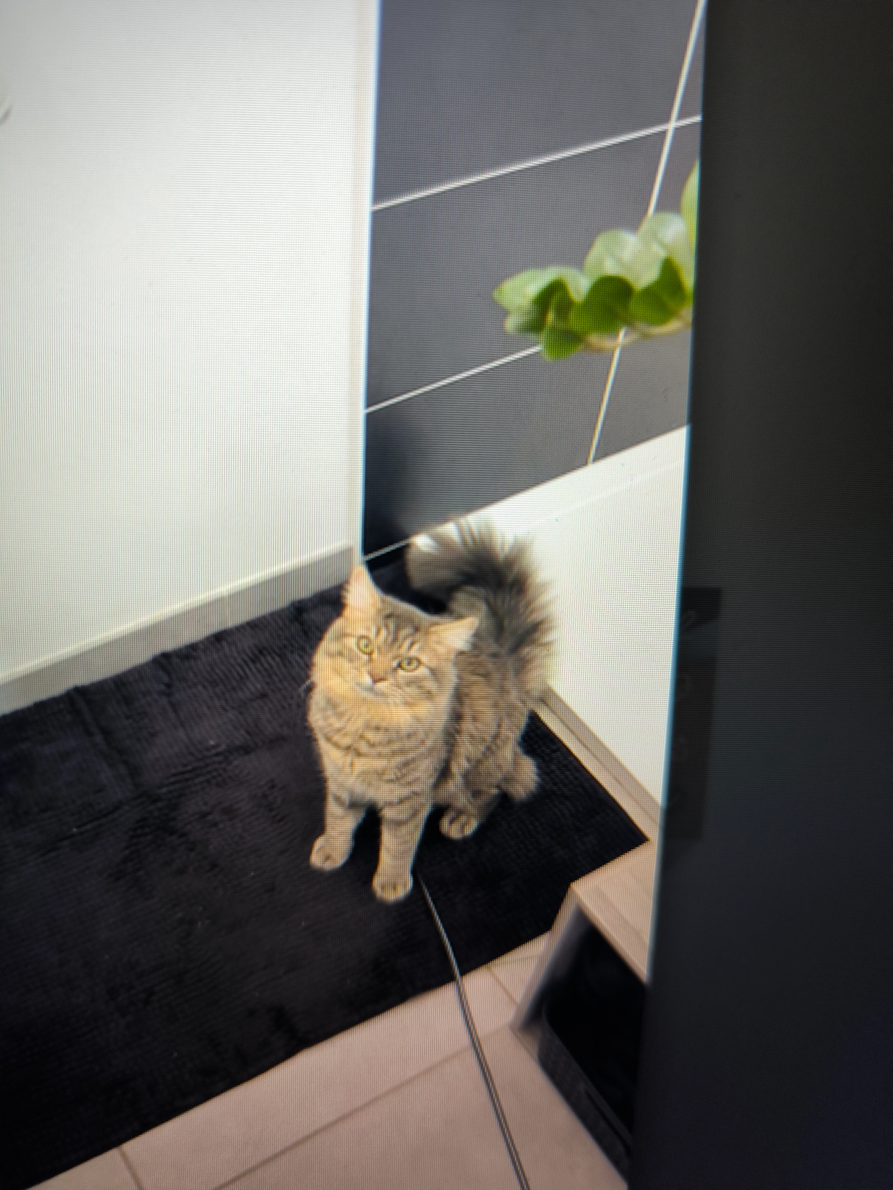 Grinch - Rue De La Sagne, Rosières-aux-Salines