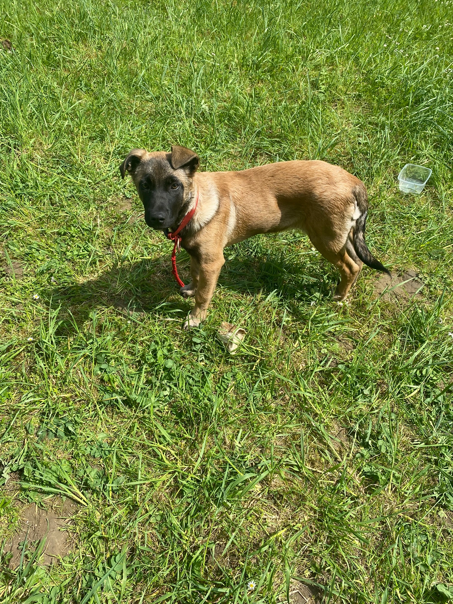 4 rue Lavoisier 95660 champagne  - Rue Lavoisier, Champagne-sur-Oise