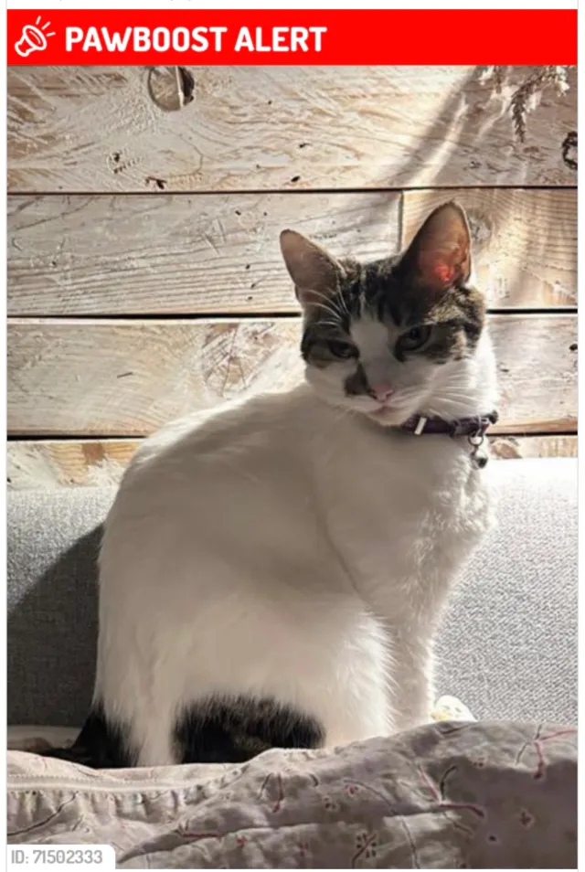 Betty - Stewart Close, Hampton