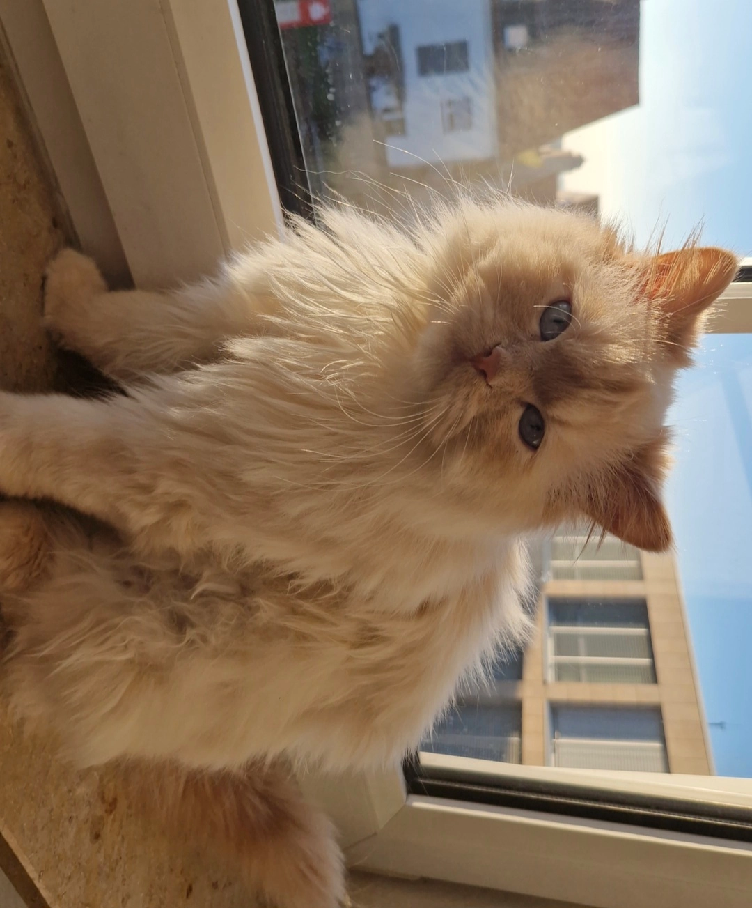 Lacky - UNTERSTRAßE , Warburg 34414