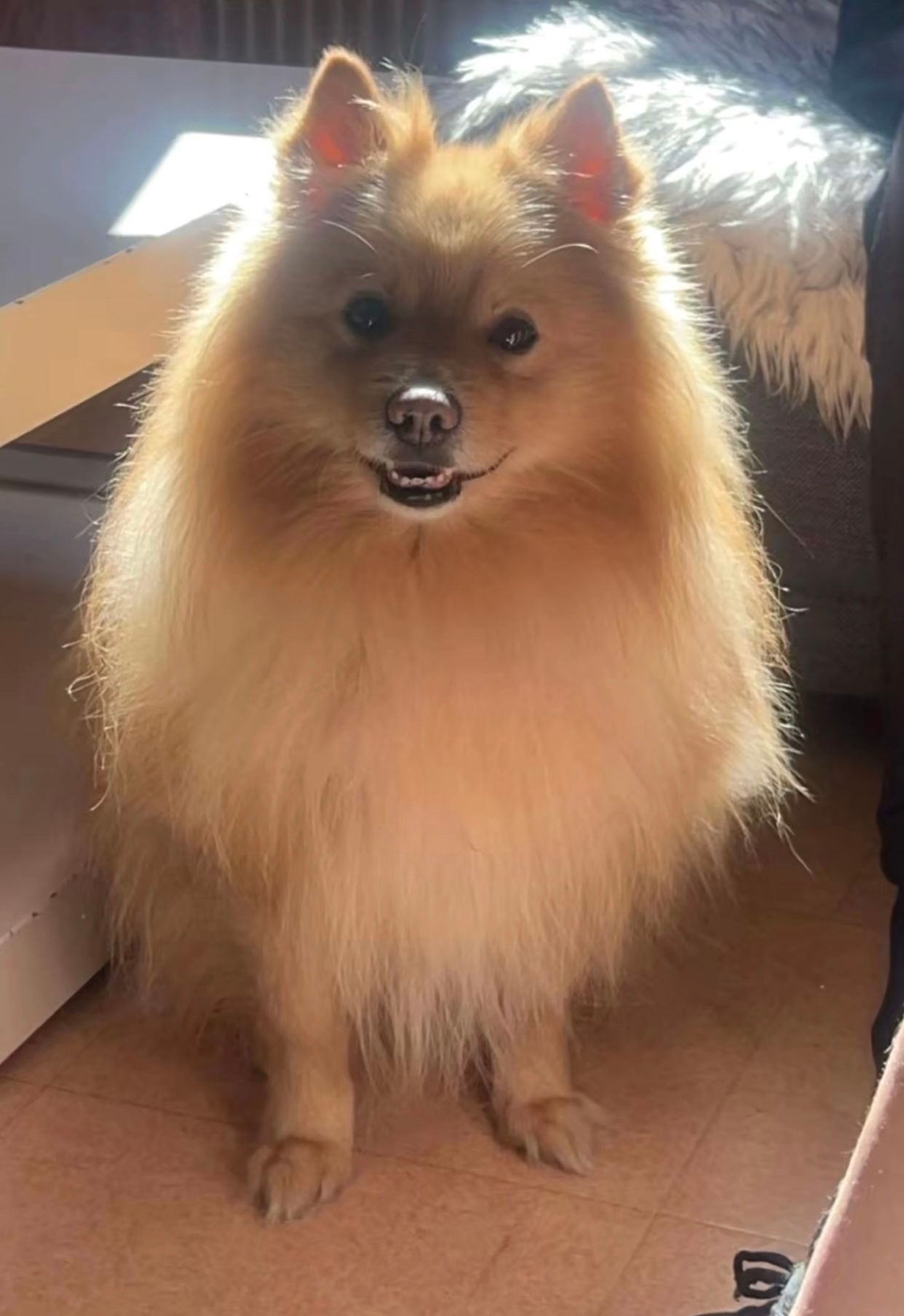 Nougat - 1093 Avenue de Maurin, Montpellier