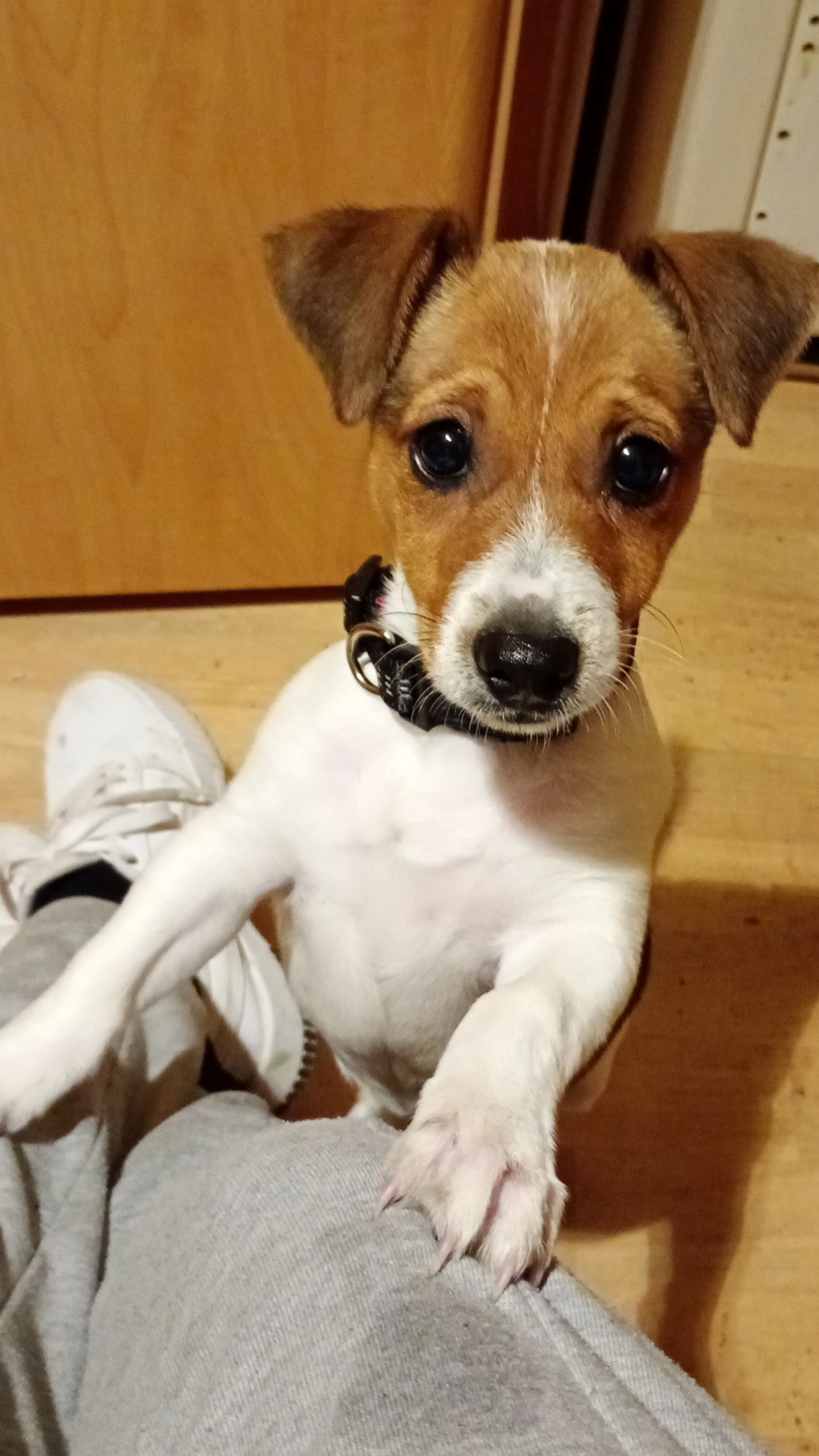 Caramele - Rue De L'amiral D'argenlieu, Sarcelles