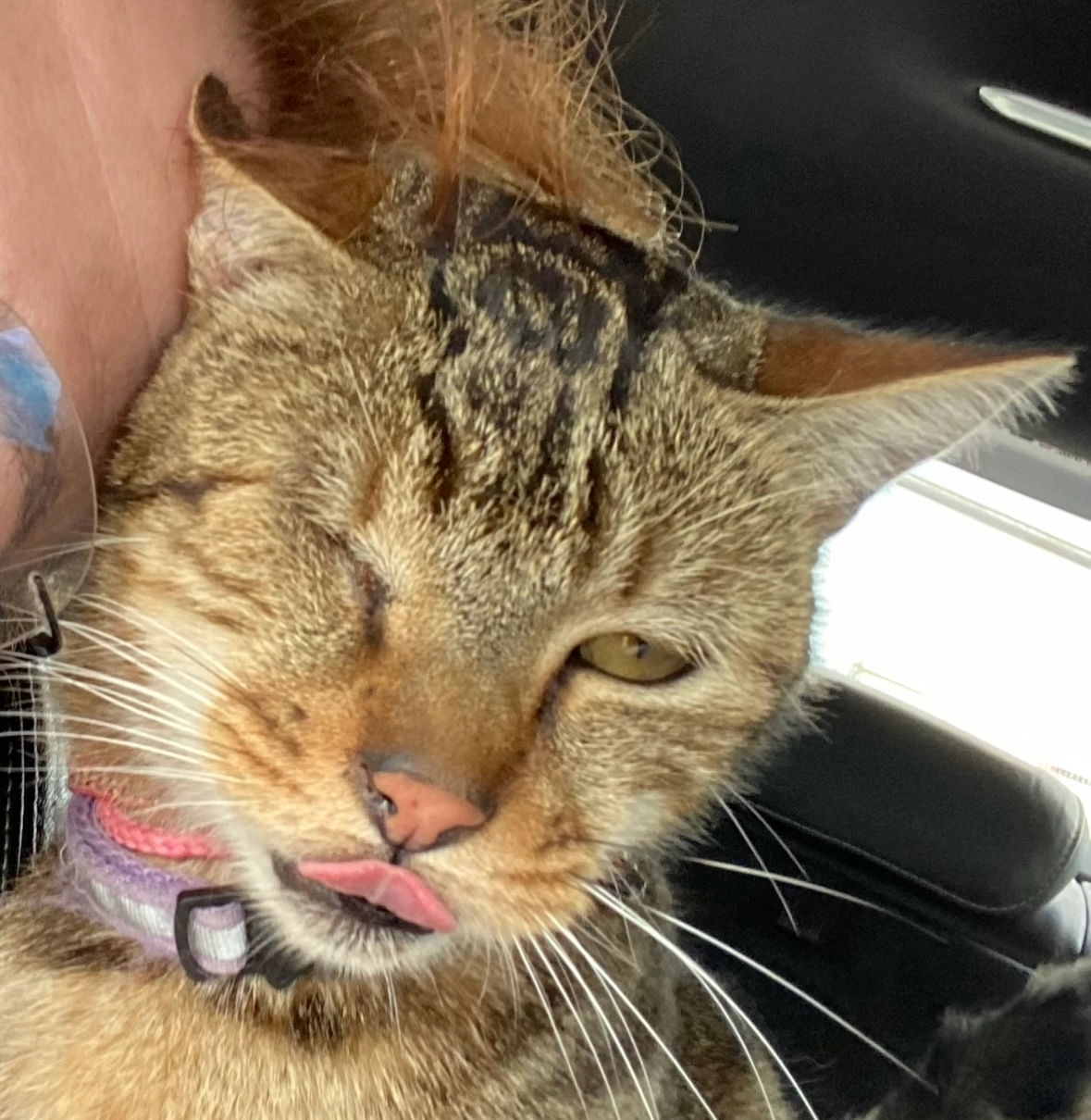 Athena - Autoroute du Soleil, Auberives-sur-Varèze