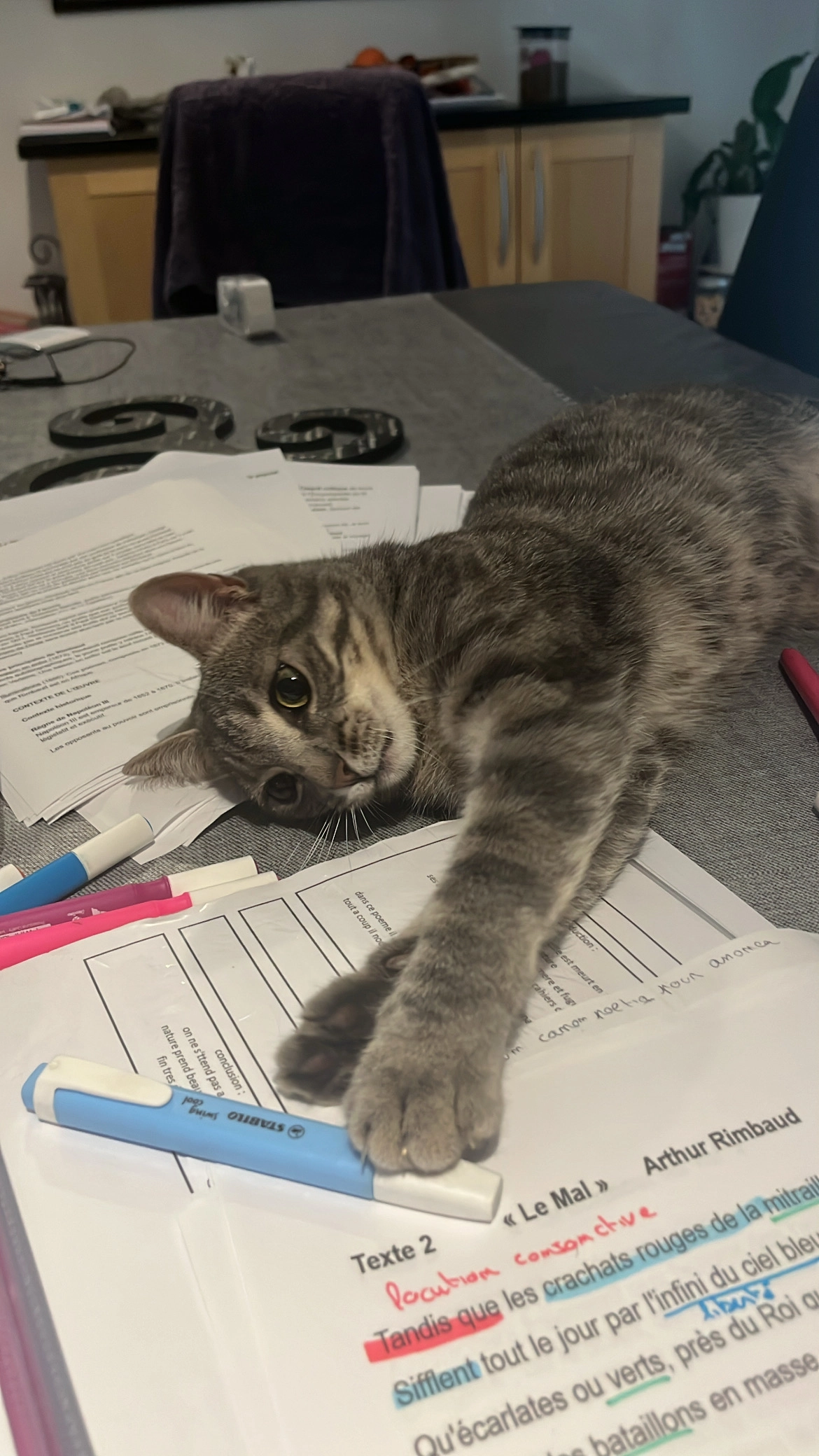 Vaiana - Rue du Bois Martin, Bussières