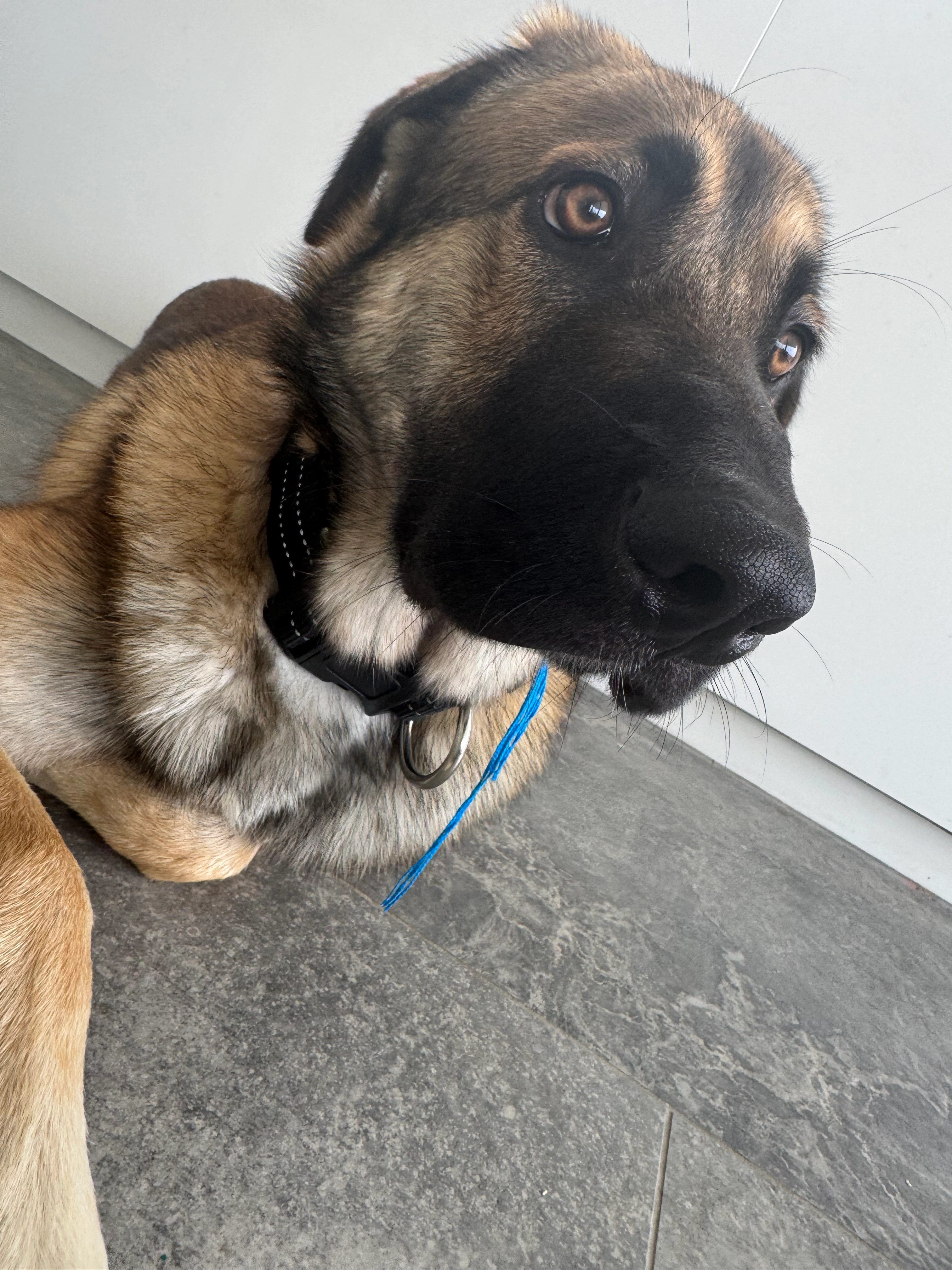 Ishkan - Rond-Point André Maginot, Montélimar