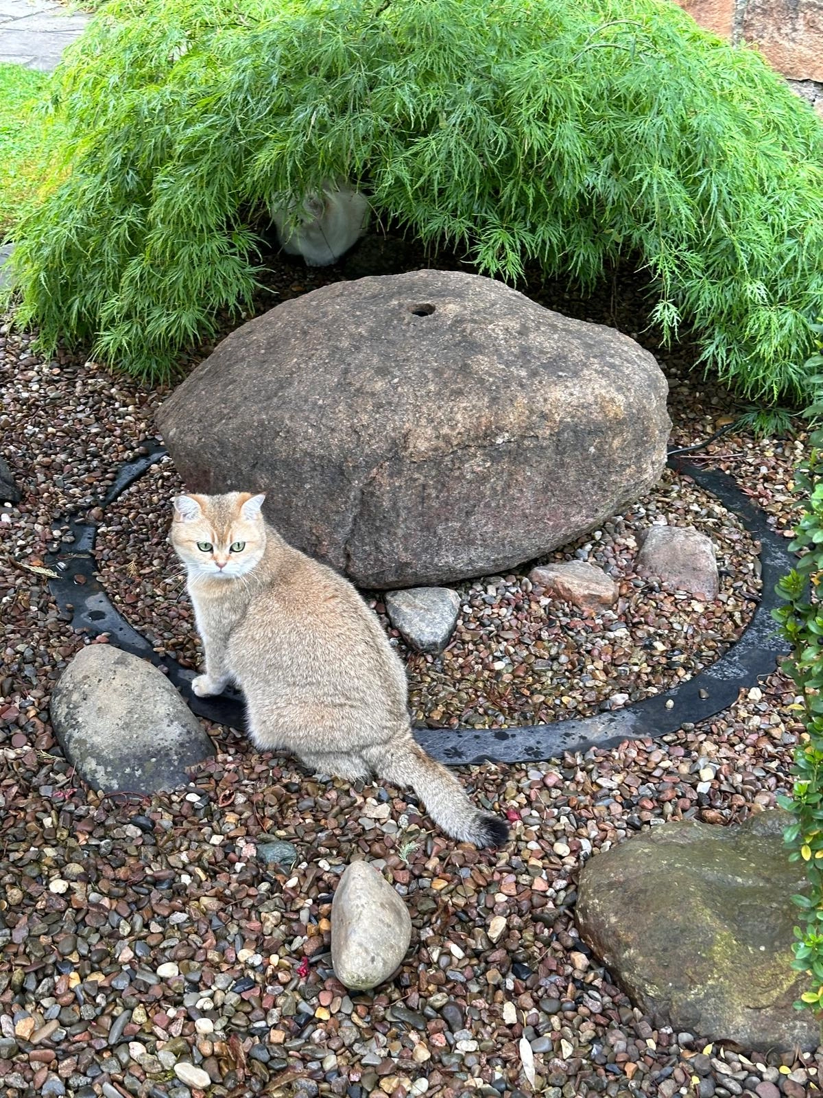 Yazz - Kotzebuestraße, Nienburg