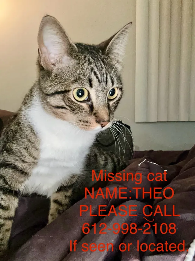 Theo  - 725 Lake St NE, Hopkins