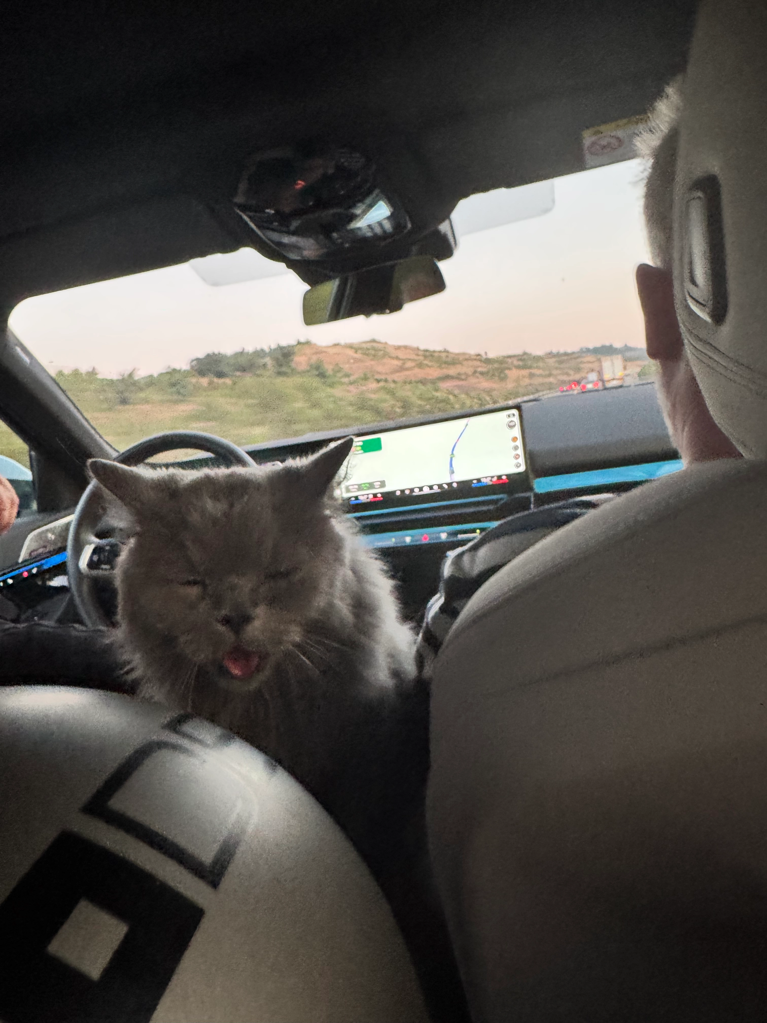 Mia - 6261 Sokak, Bodrum