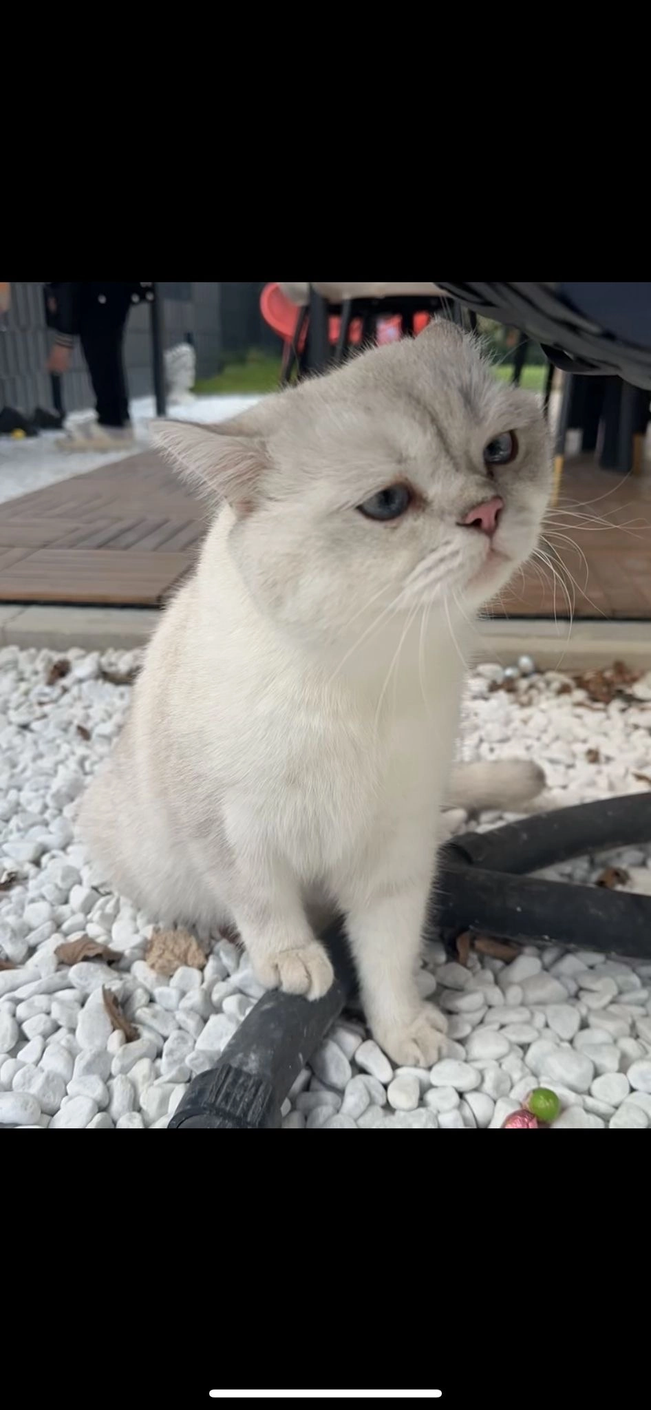 Leon - Maurer Lange Gasse, Wien