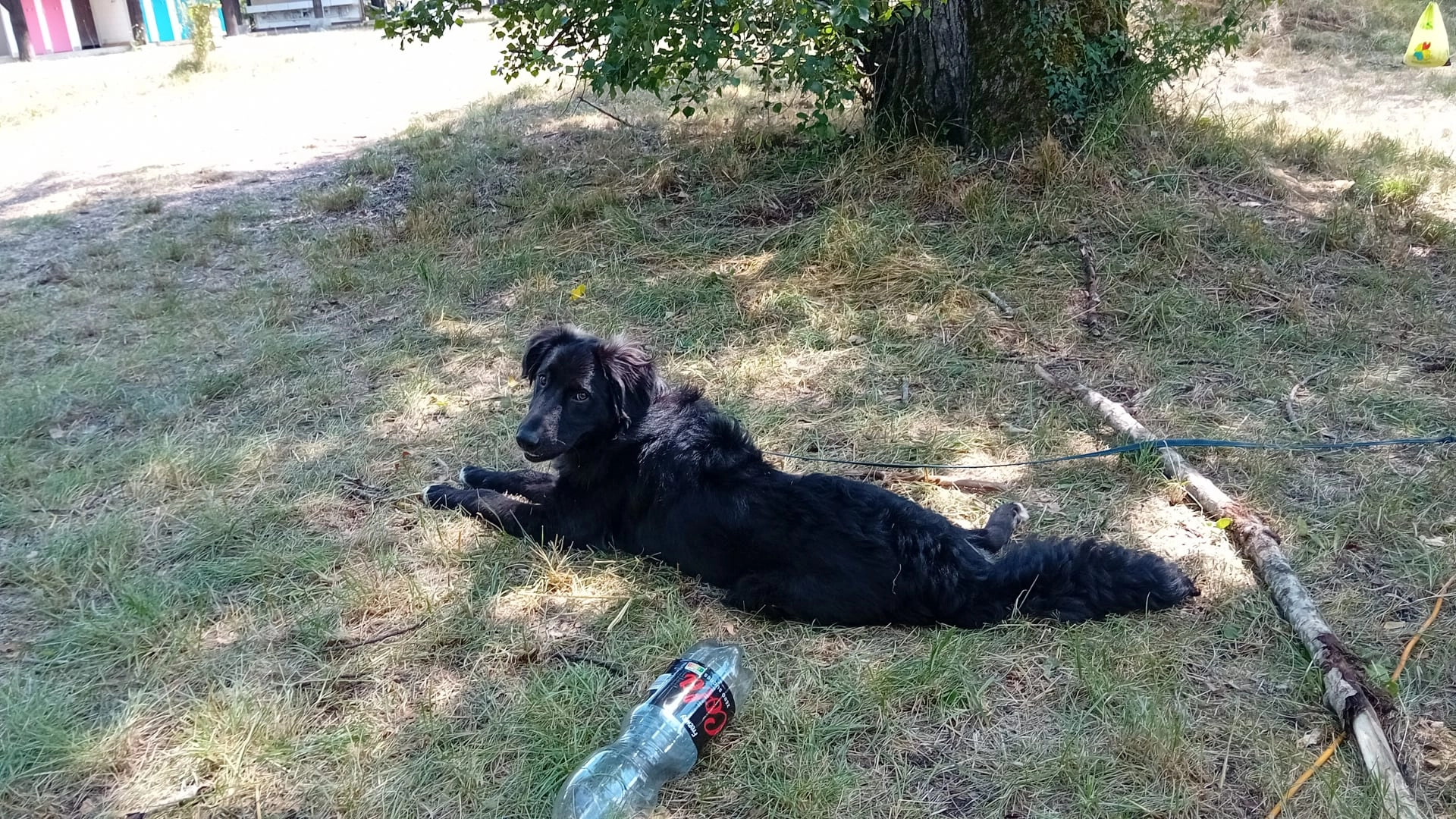 Baloe - Route De L'arve, Passy