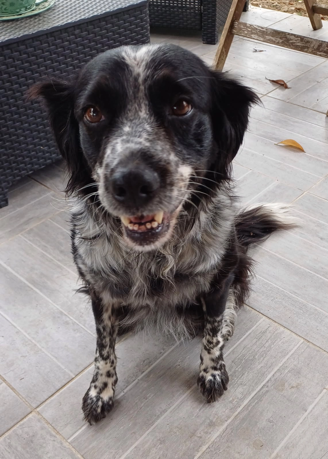 Jena  - 2238 Route de Savignac, Monblanc