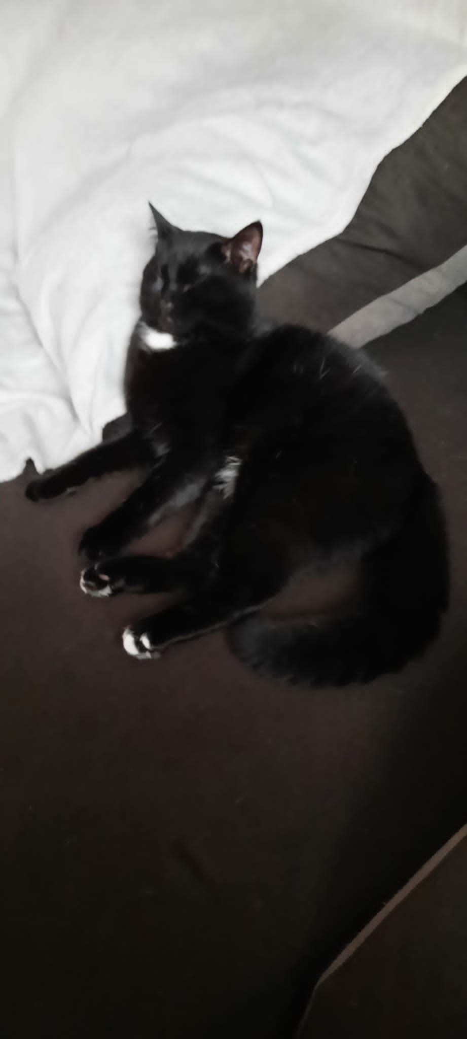 Yoker - Powis Circle, Aberdeen