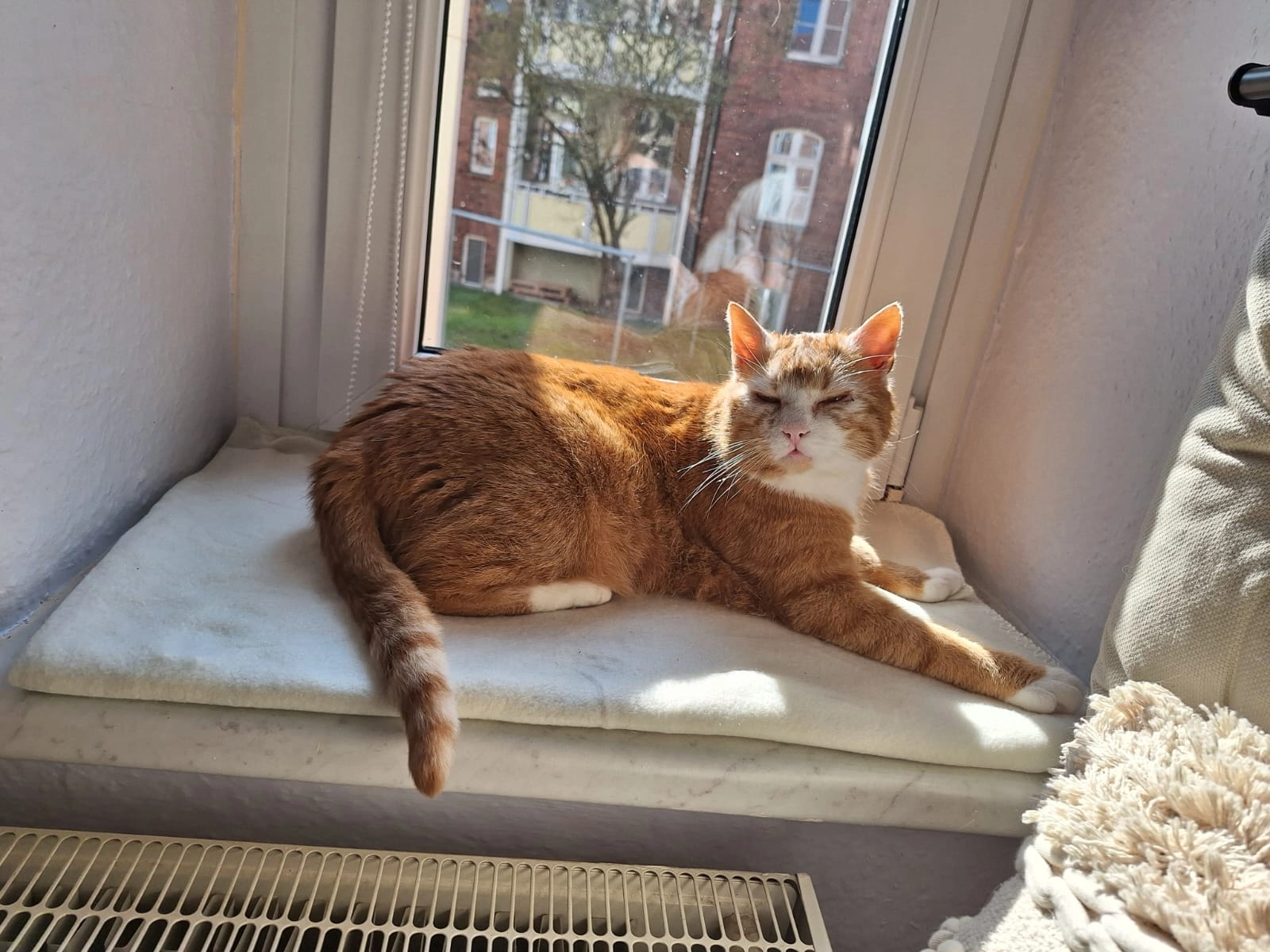 Radi, Muggel - K 7008, Bad Wilsnack