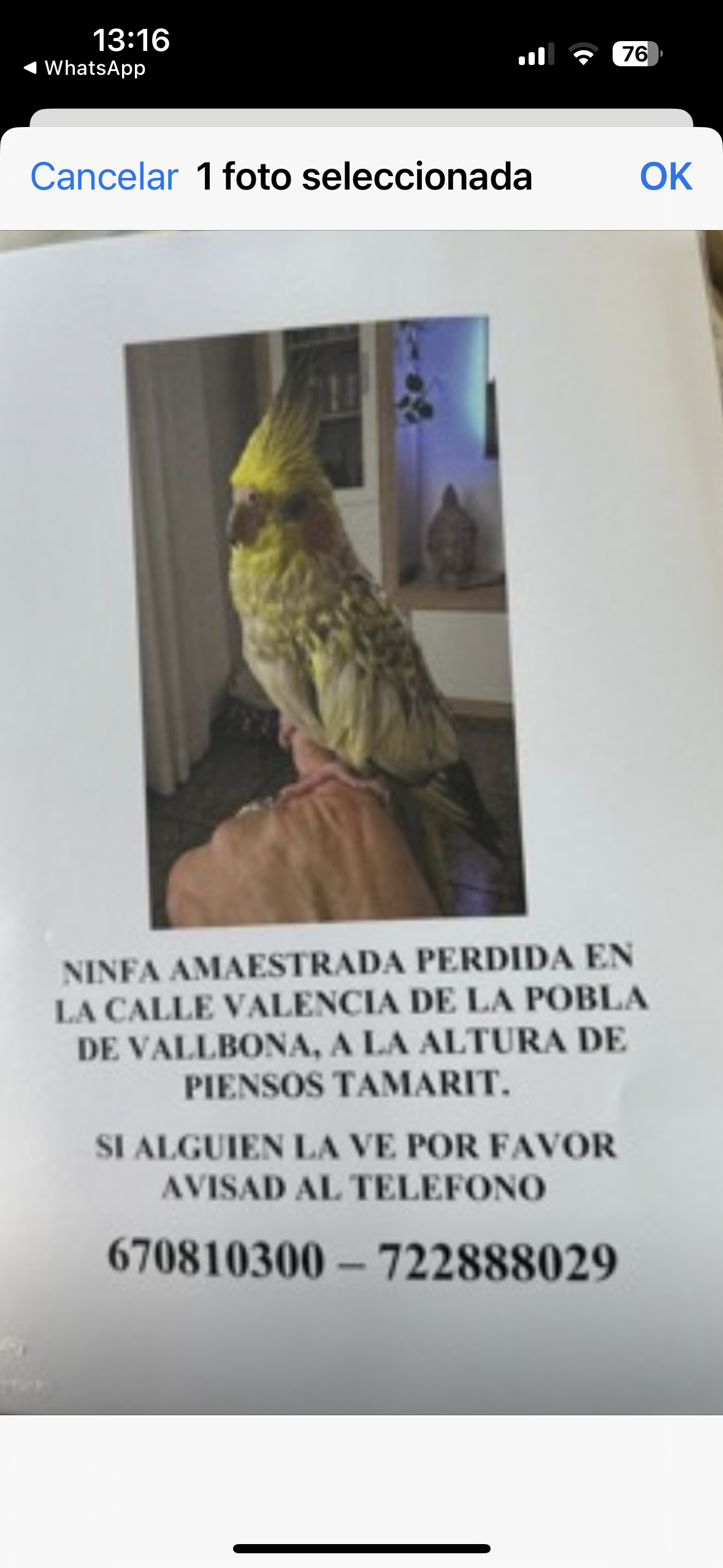 Nifa - Calle D, La Pobla de Vallbona