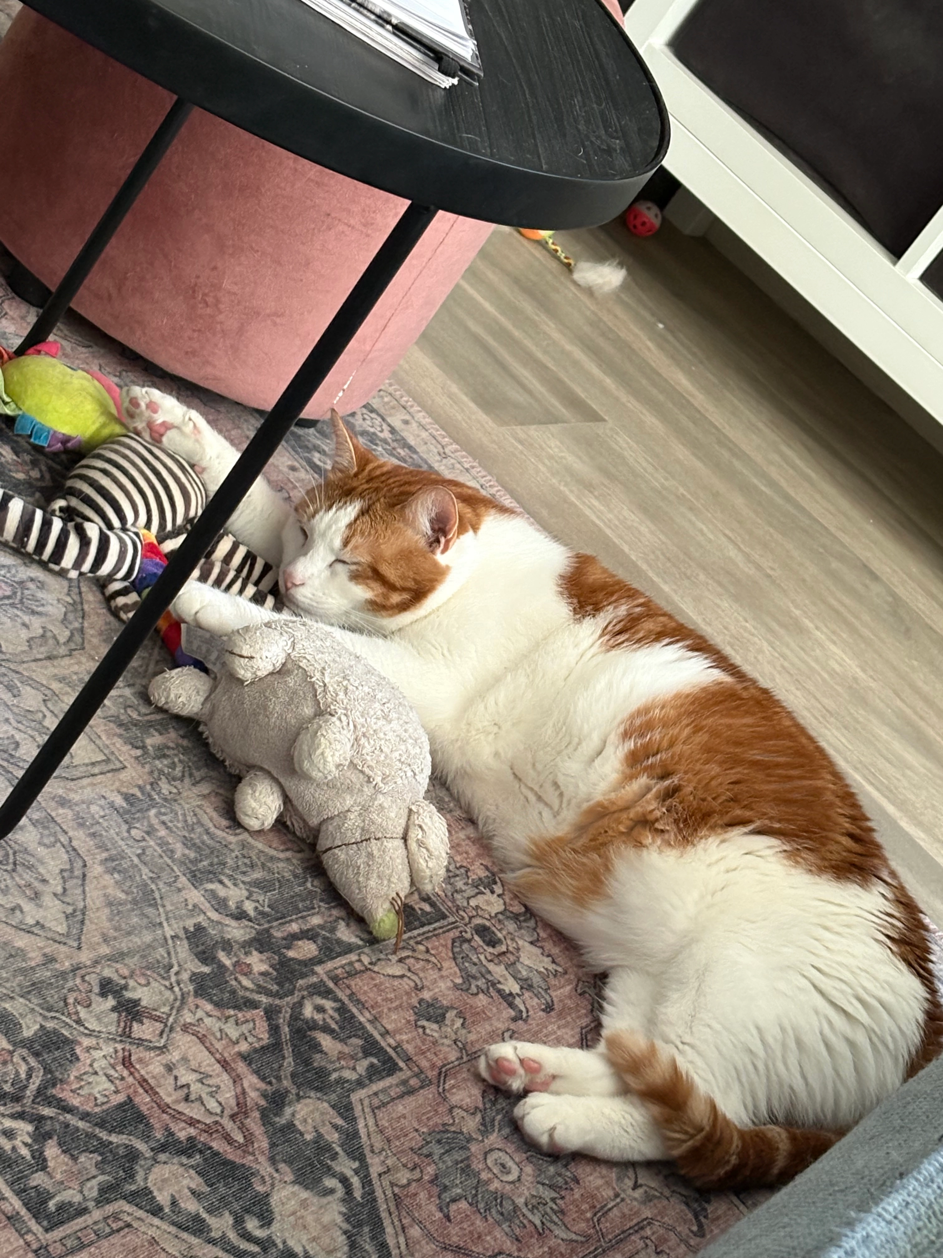 Boobie - Jan Steenlaan, Veenendaal