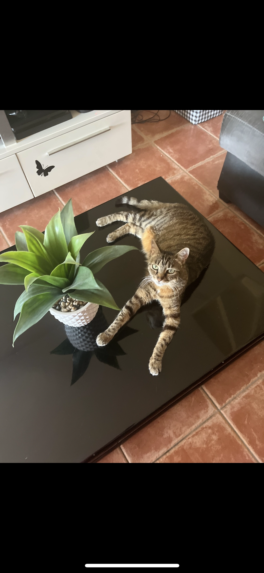 Naya - Route De La Fortine, Saint-Émilion