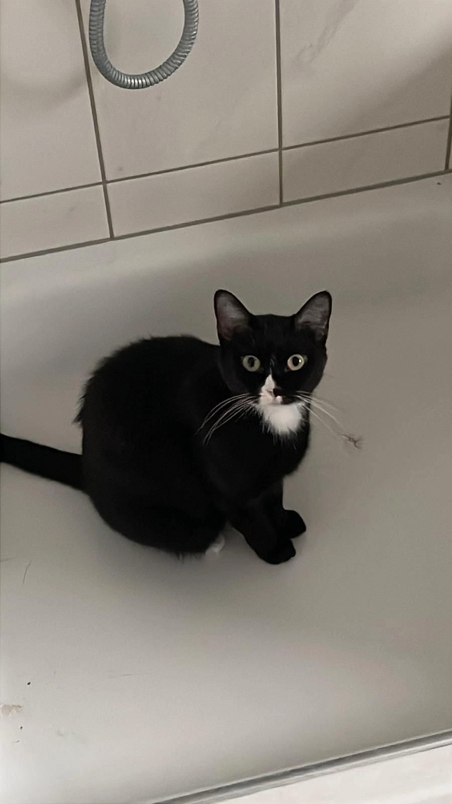 Mila - Ackersweg, Neuwied