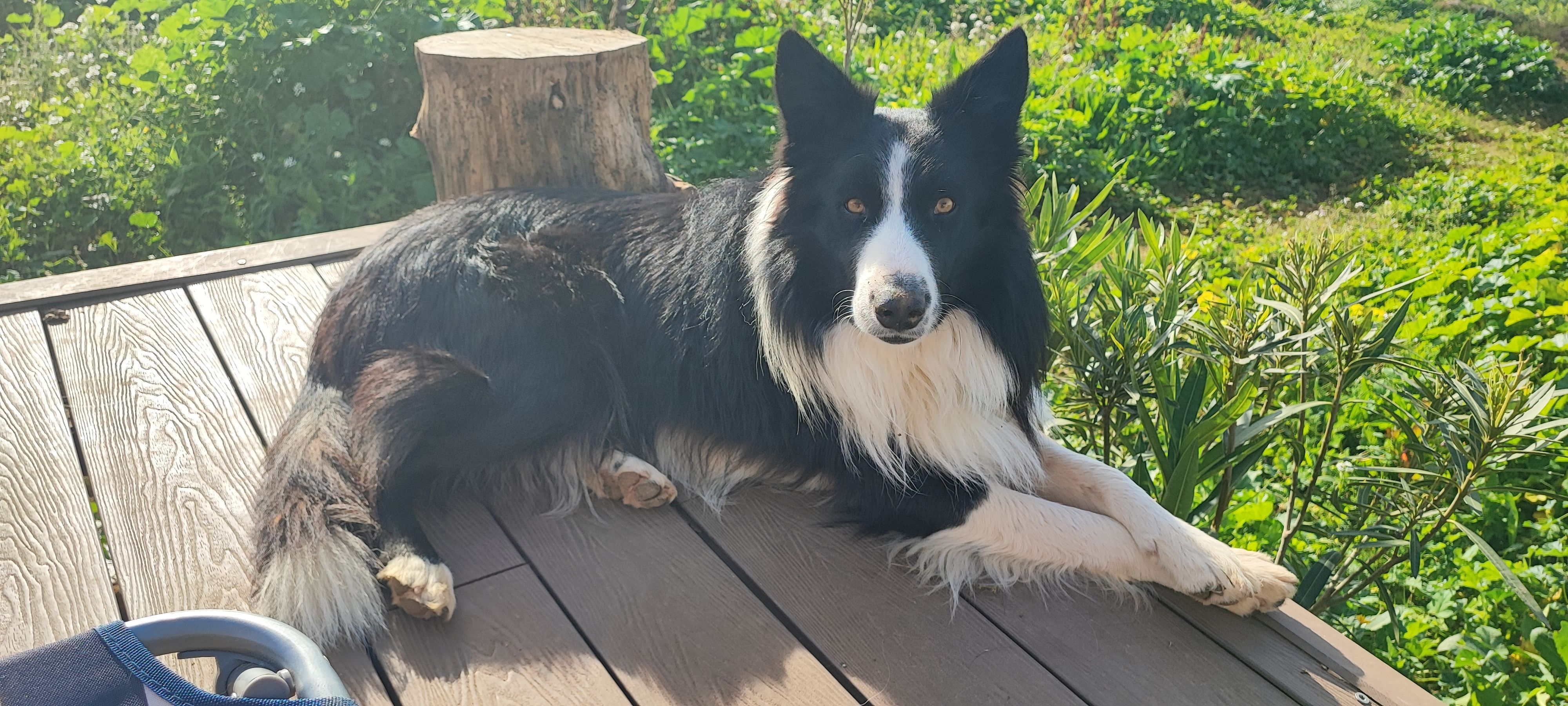 Wallace - Plaza Del Polígono 11, Benlloc