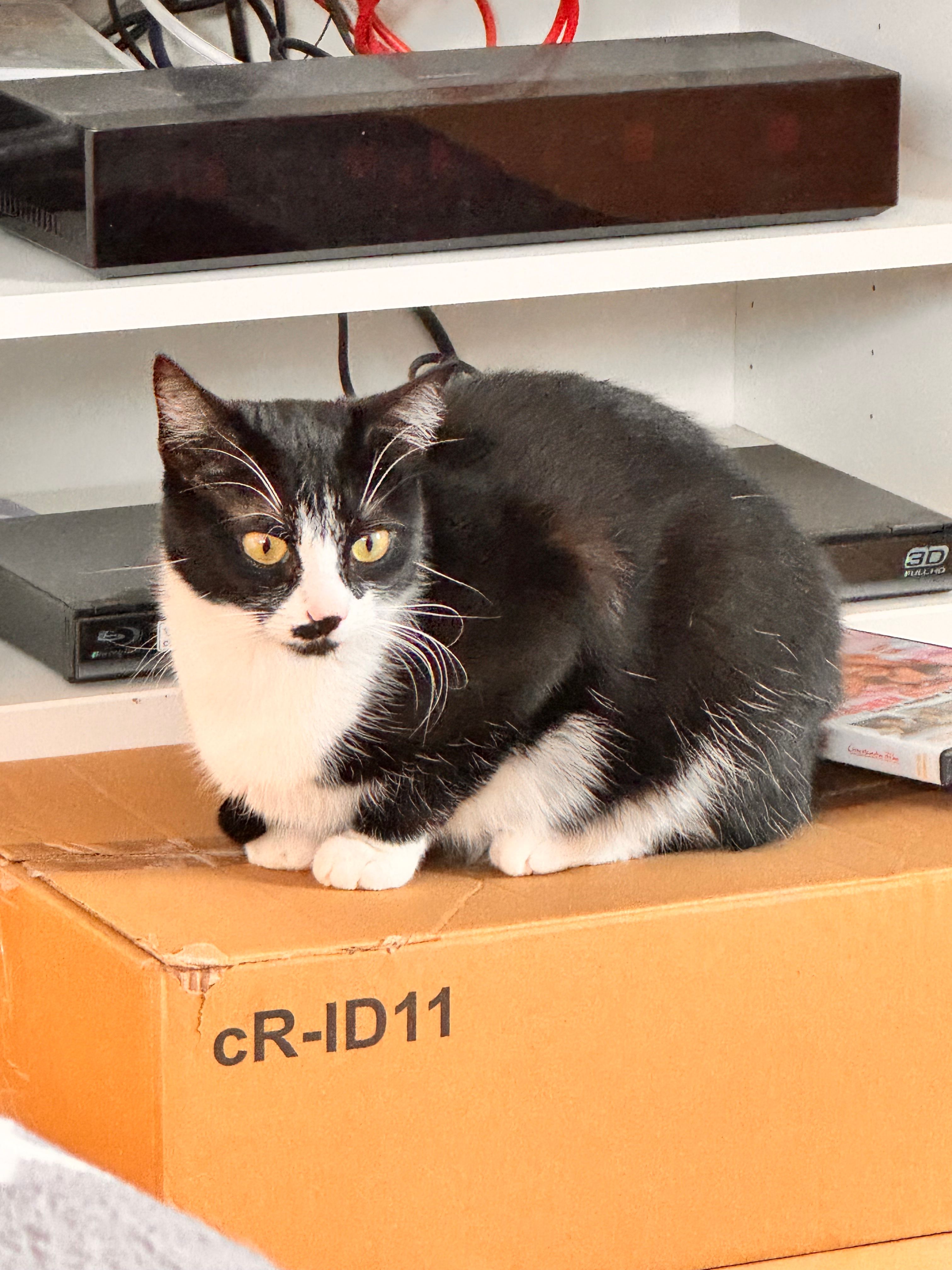 Molly - Breslauer Straße 2, Wangels