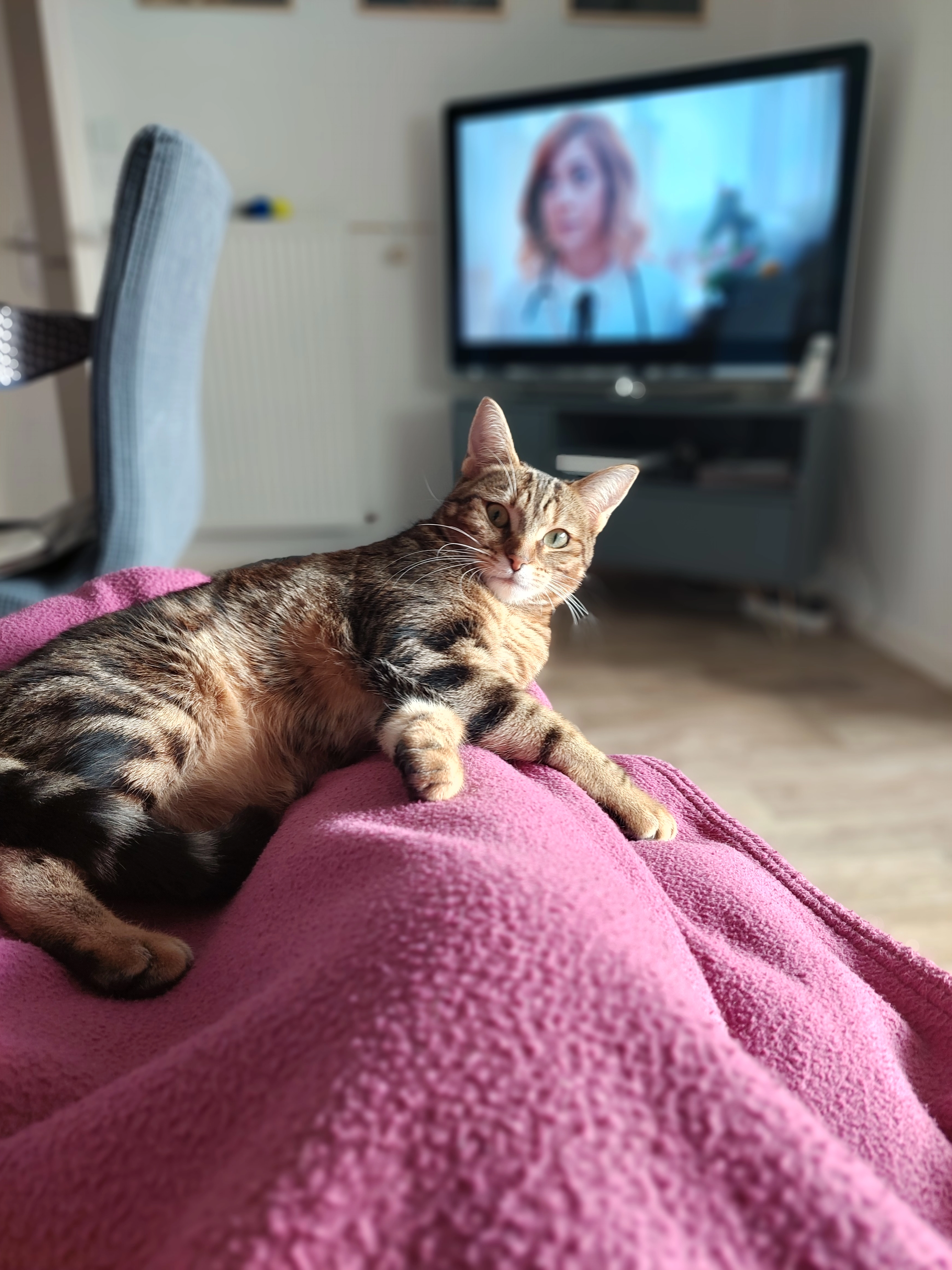 Chouquette  - 6 Rue des Vergers d'Eole, Saint-Gilles-Croix-de-Vie