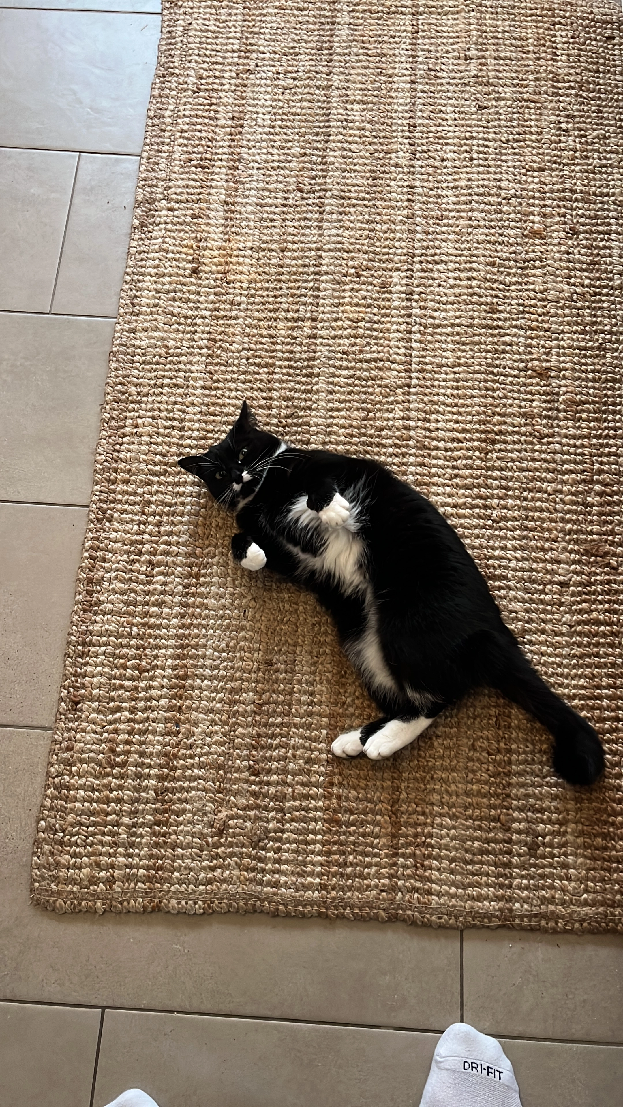 Momo - Mastbruchstraße, Paderborn