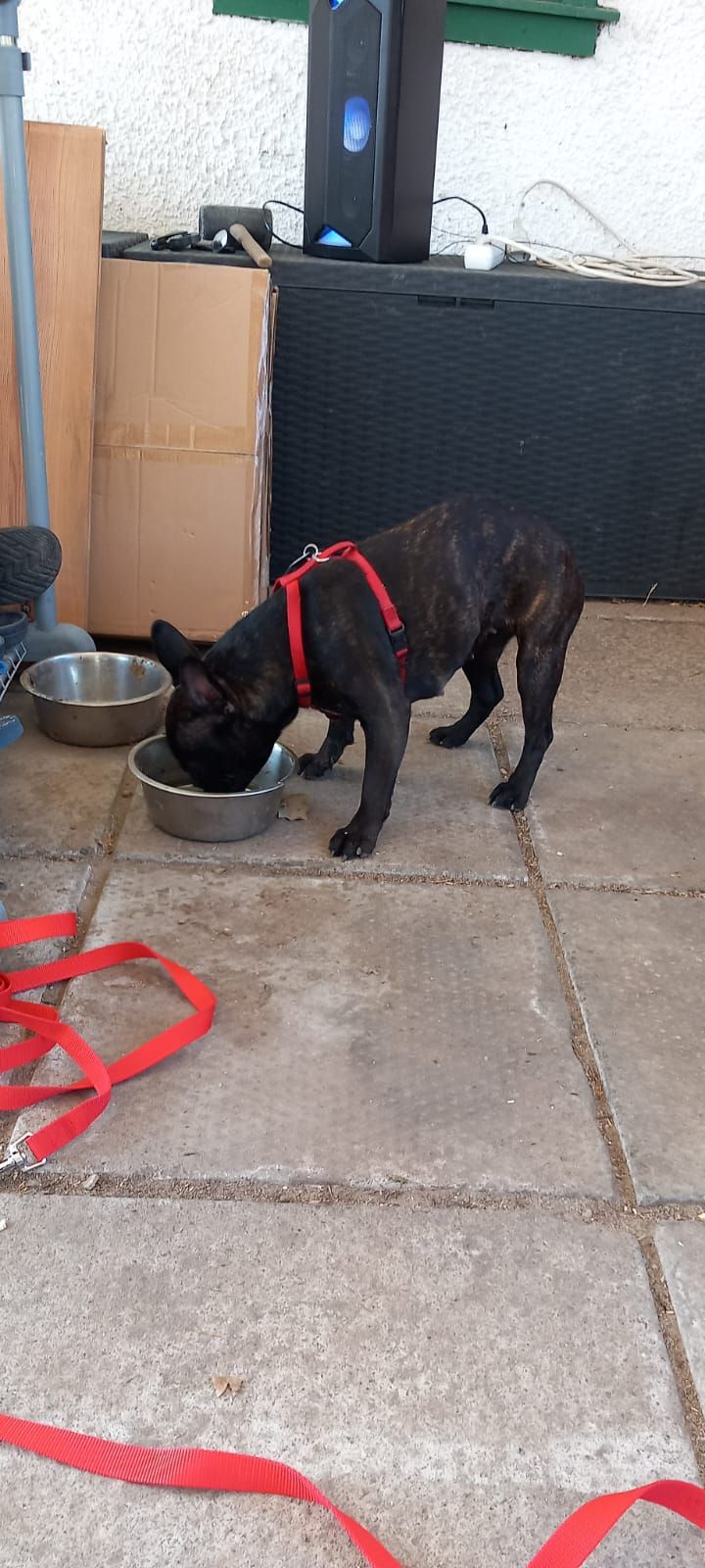 Nala - Ecke, Bad Tabarz