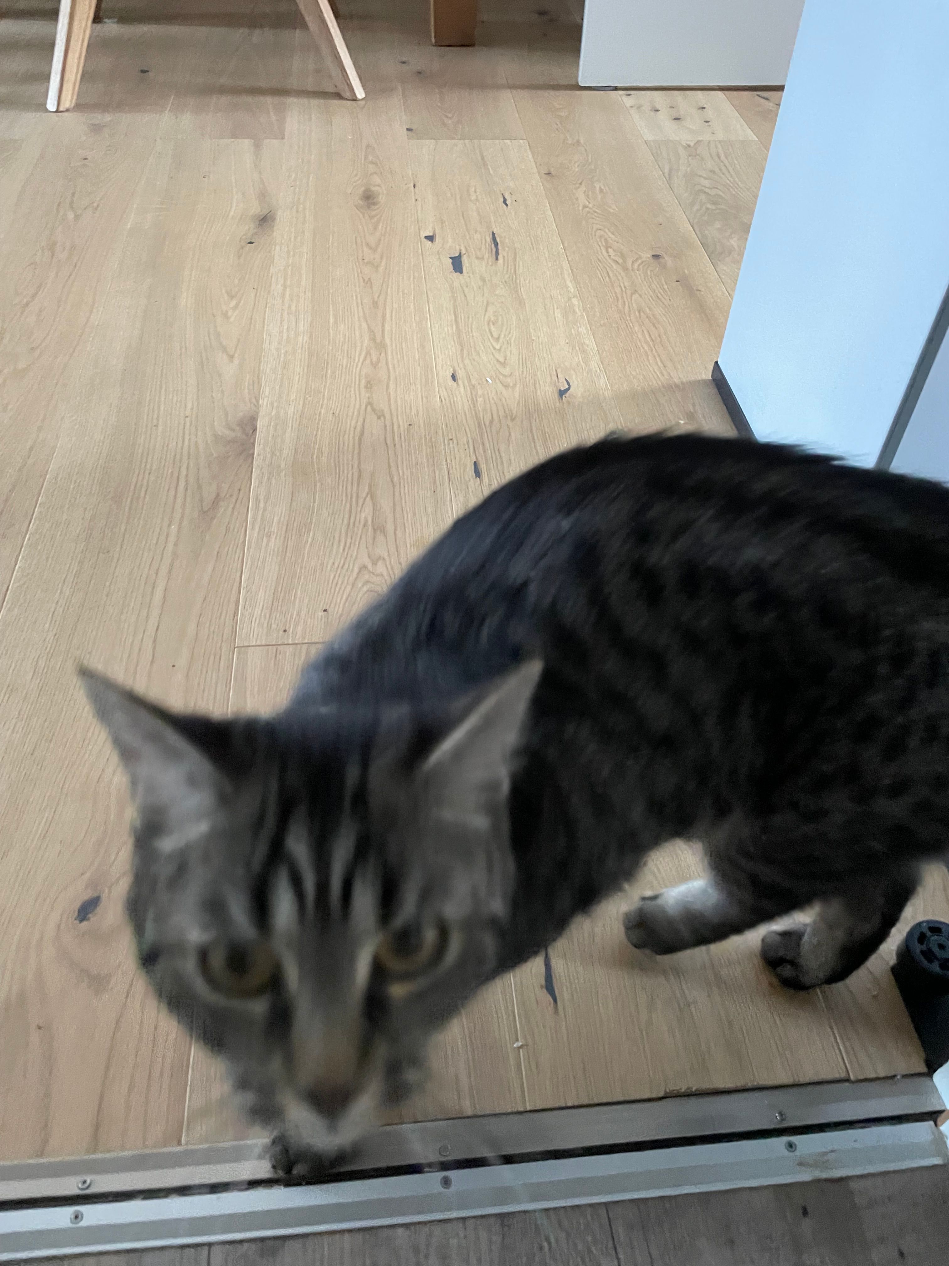 Luni - Fichtenstraße, Wartenberg