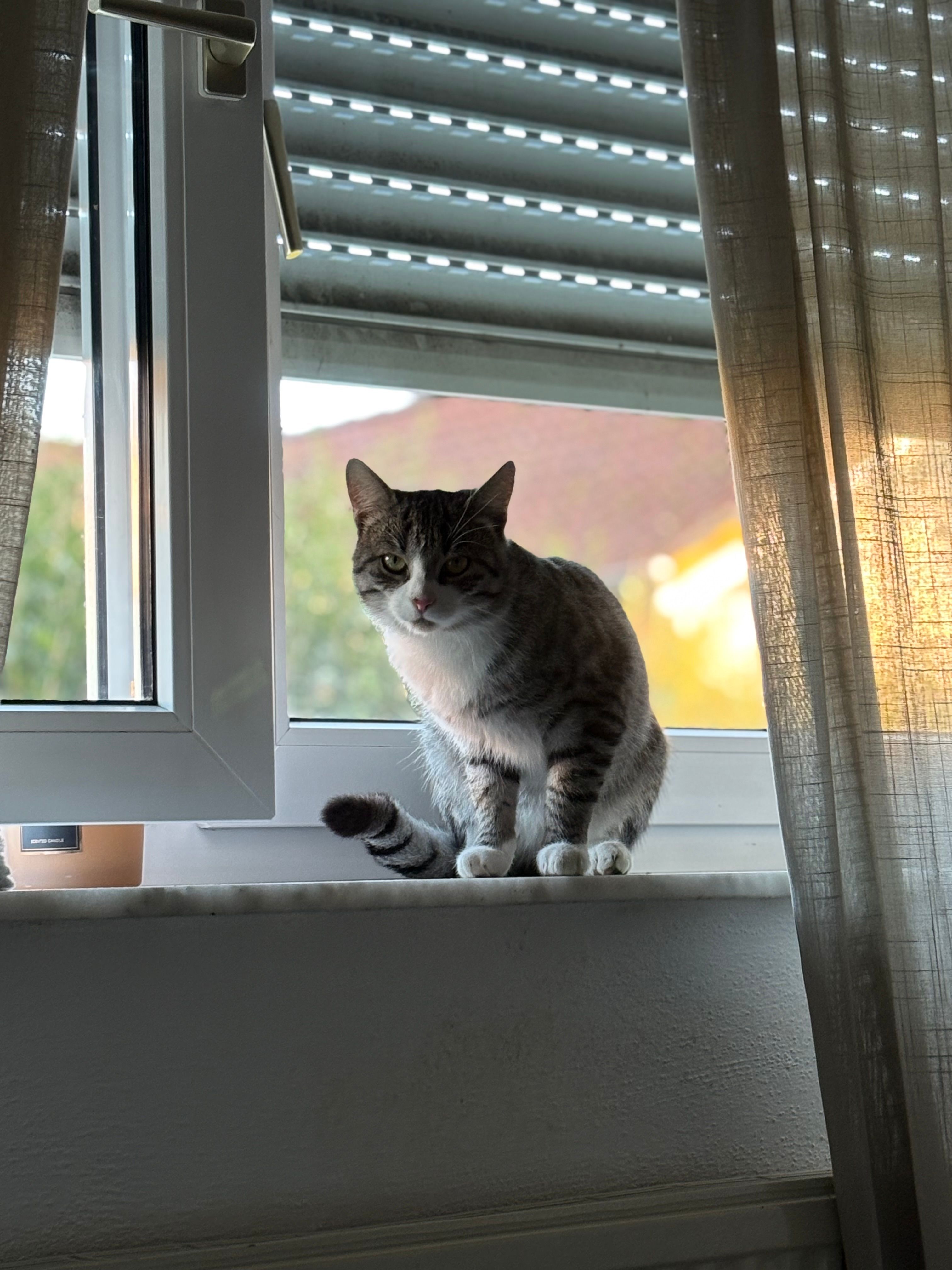 Loui - Silcherstraße, Lonsee