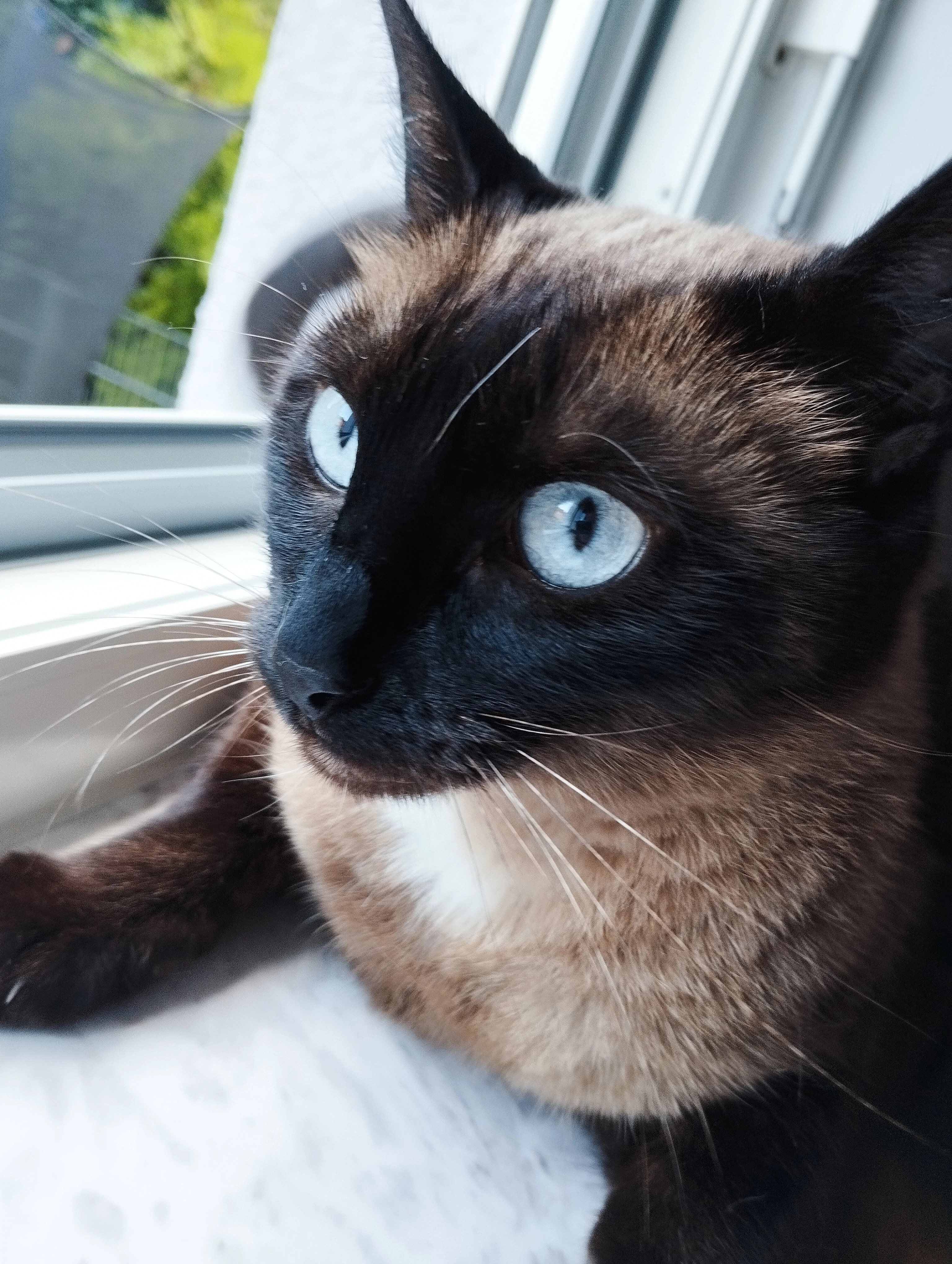 Nela - Badener Straße, Mannheim